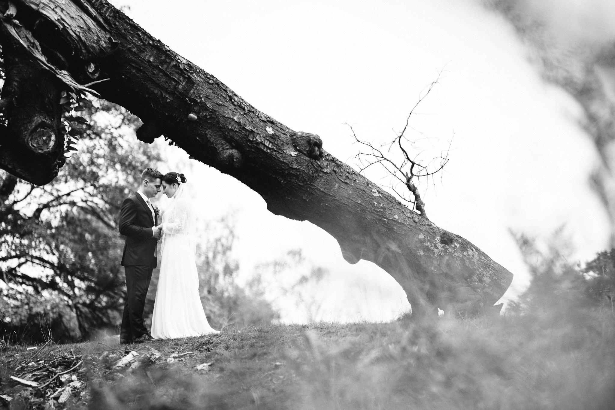 Nunta Maria & Florian