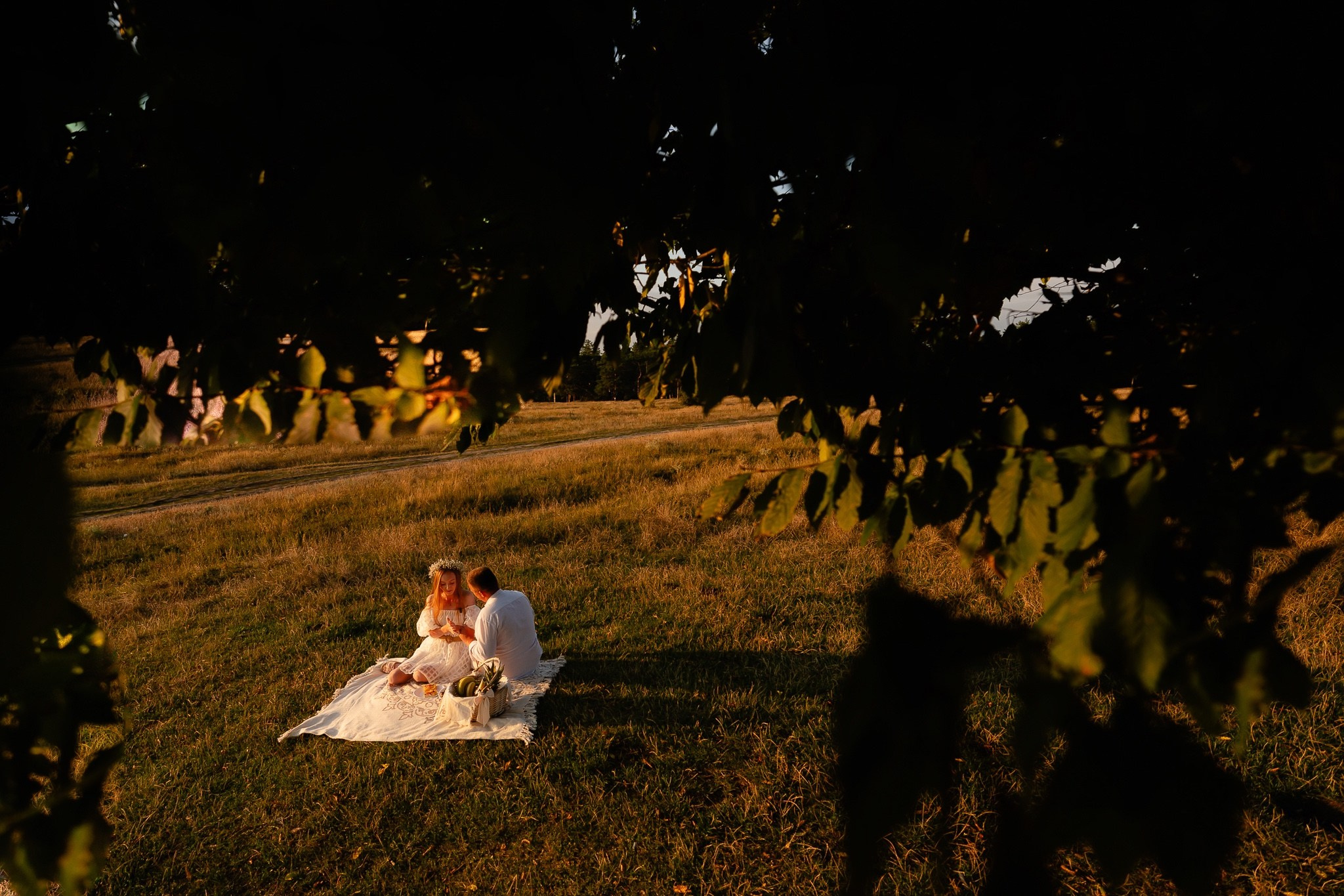 Save the date - Carolina & Alexandru