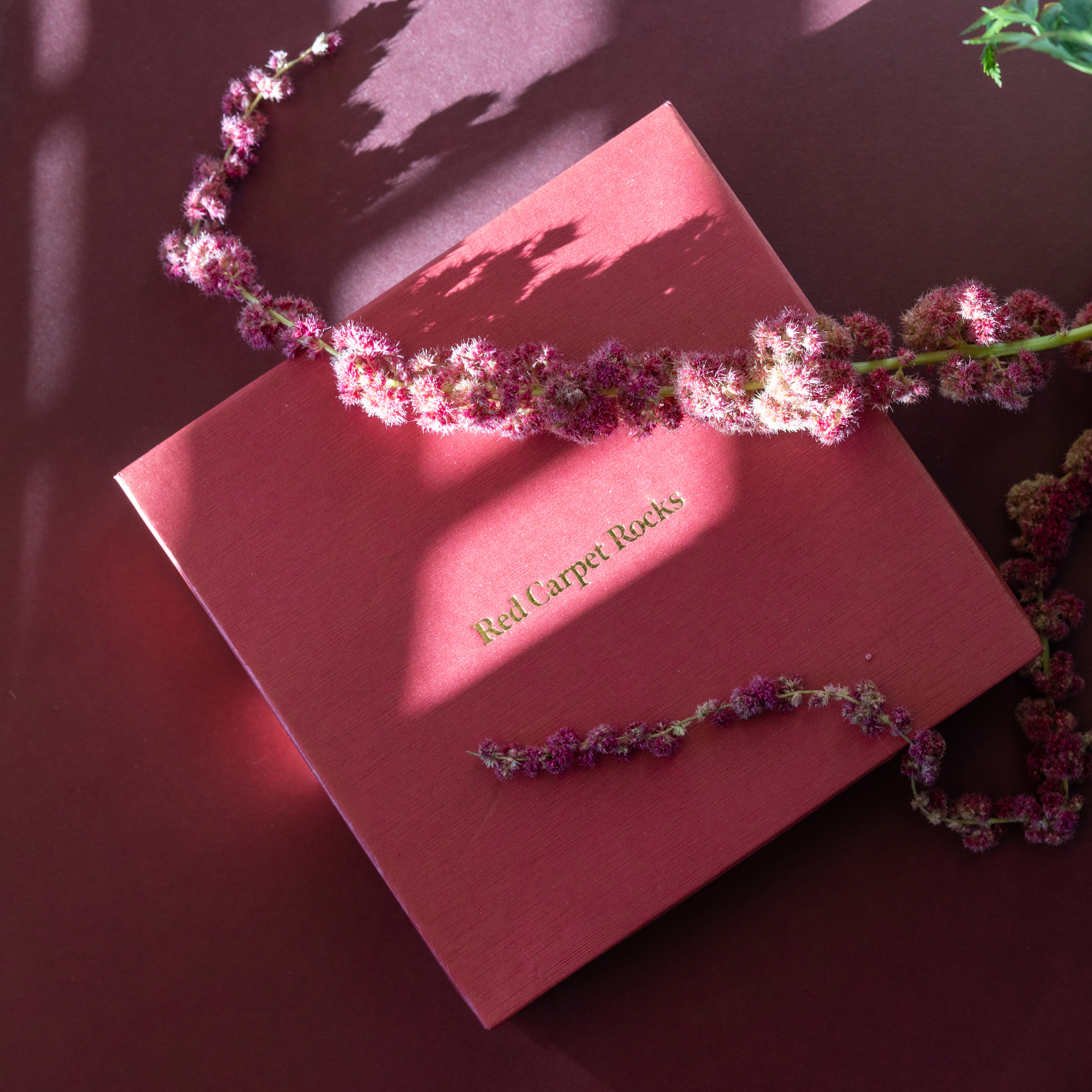 Madeleine and Nicholas. Wedding Photo & Video