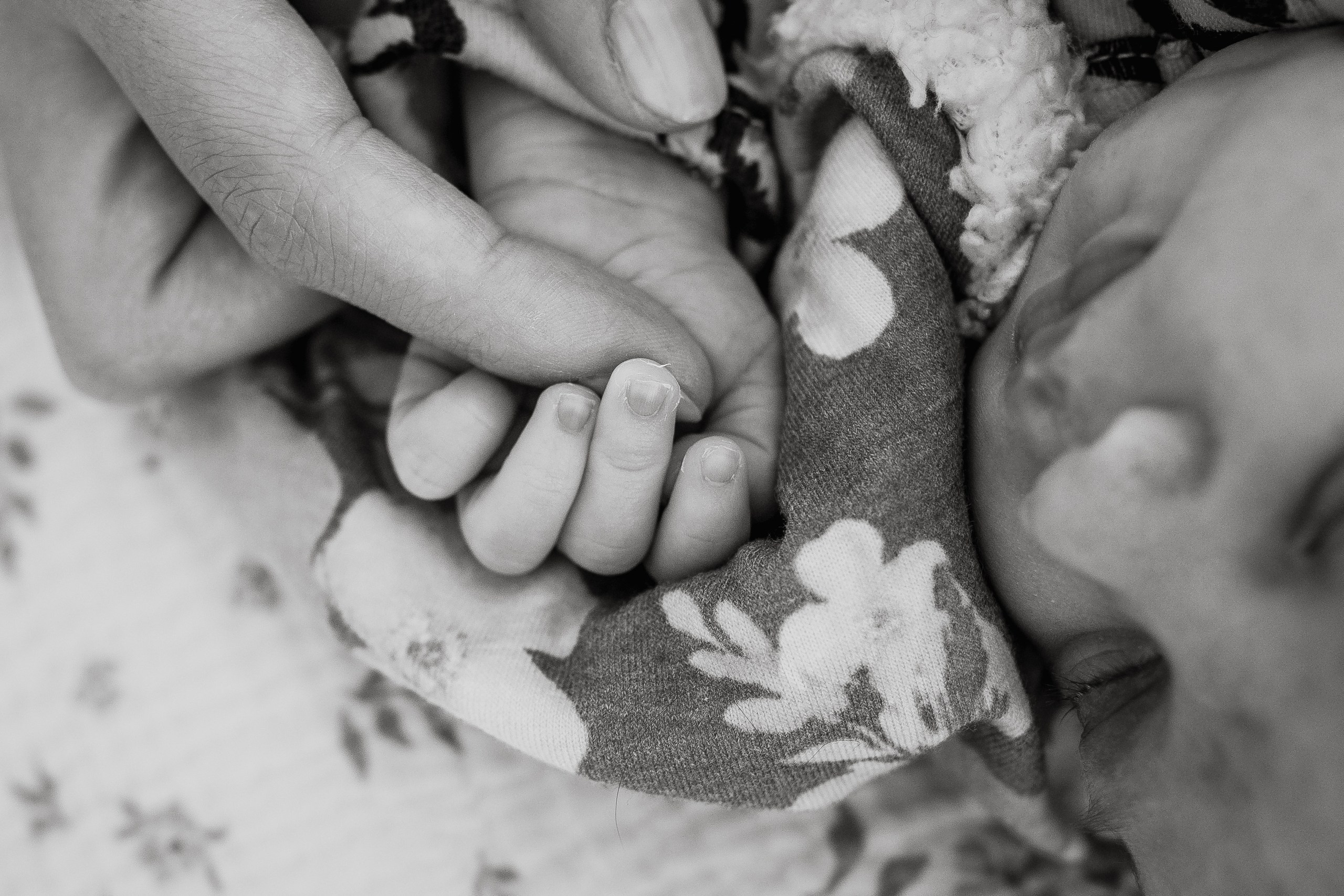 Natasha, Emilia, Brandon, Clara. Alisa Tant — Family and newborn photographer Bucks County, Montgomery county, Philadelphia, NJ