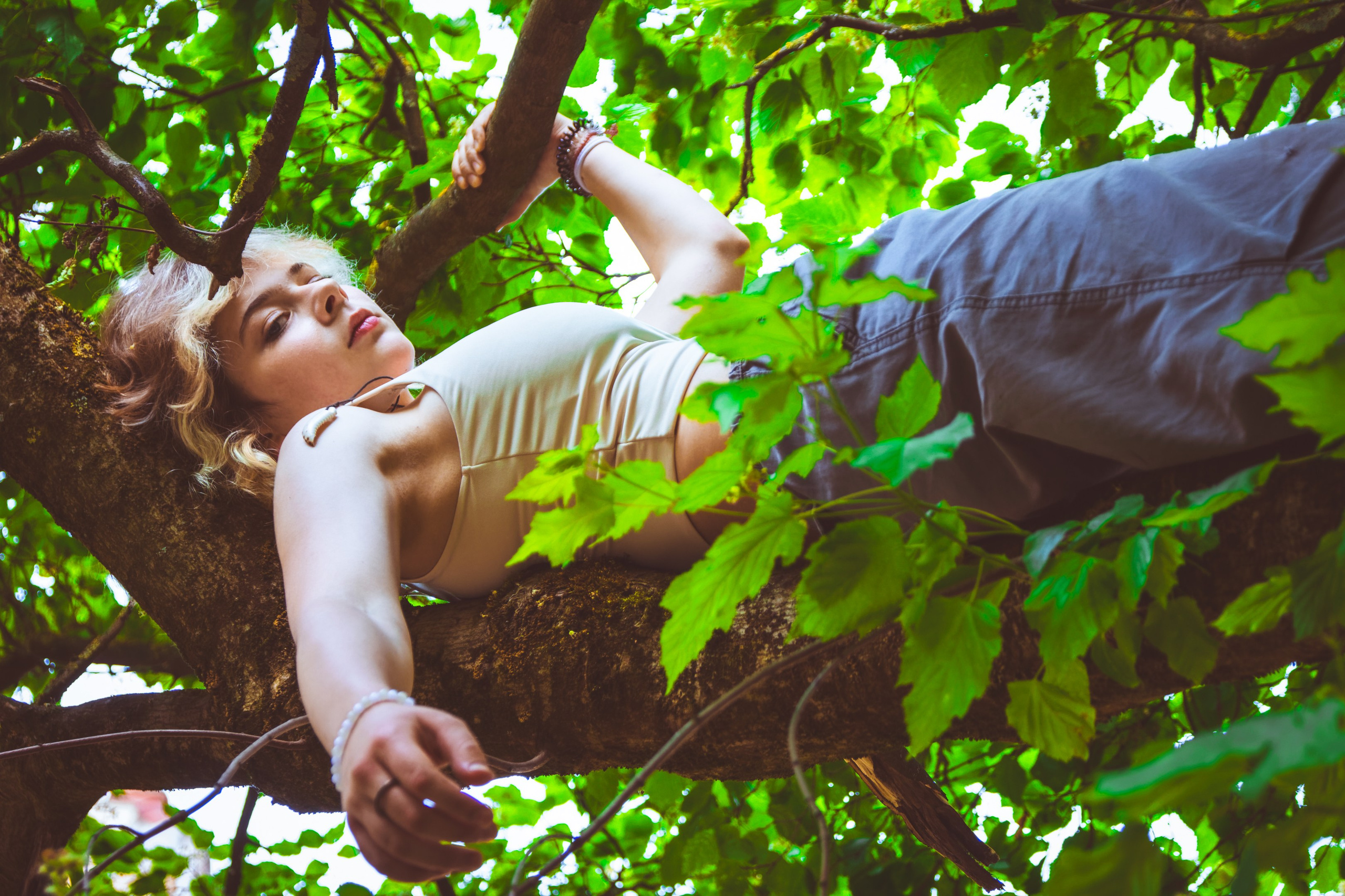 Lahe graatsia (Sonja). Nebula 25 — Fotod teie hingele
