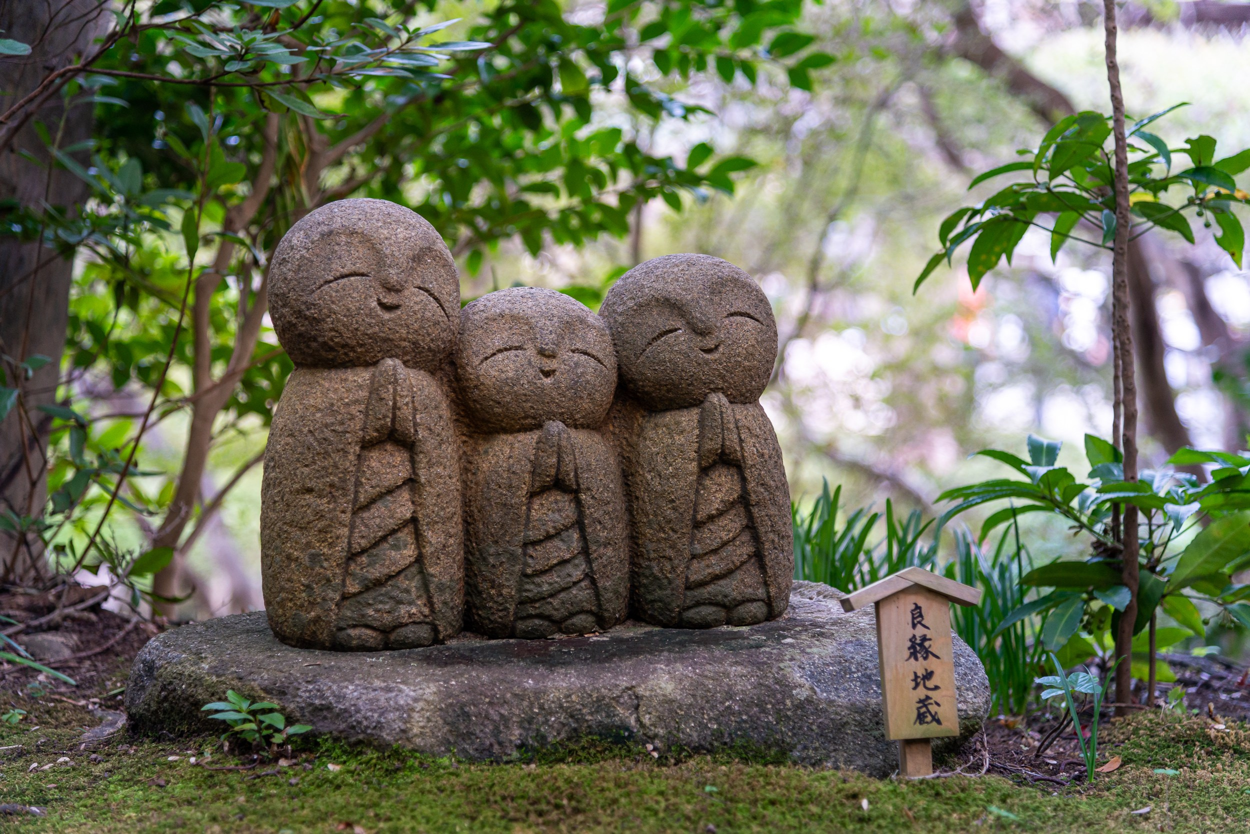 Japan. Marius Ciocan