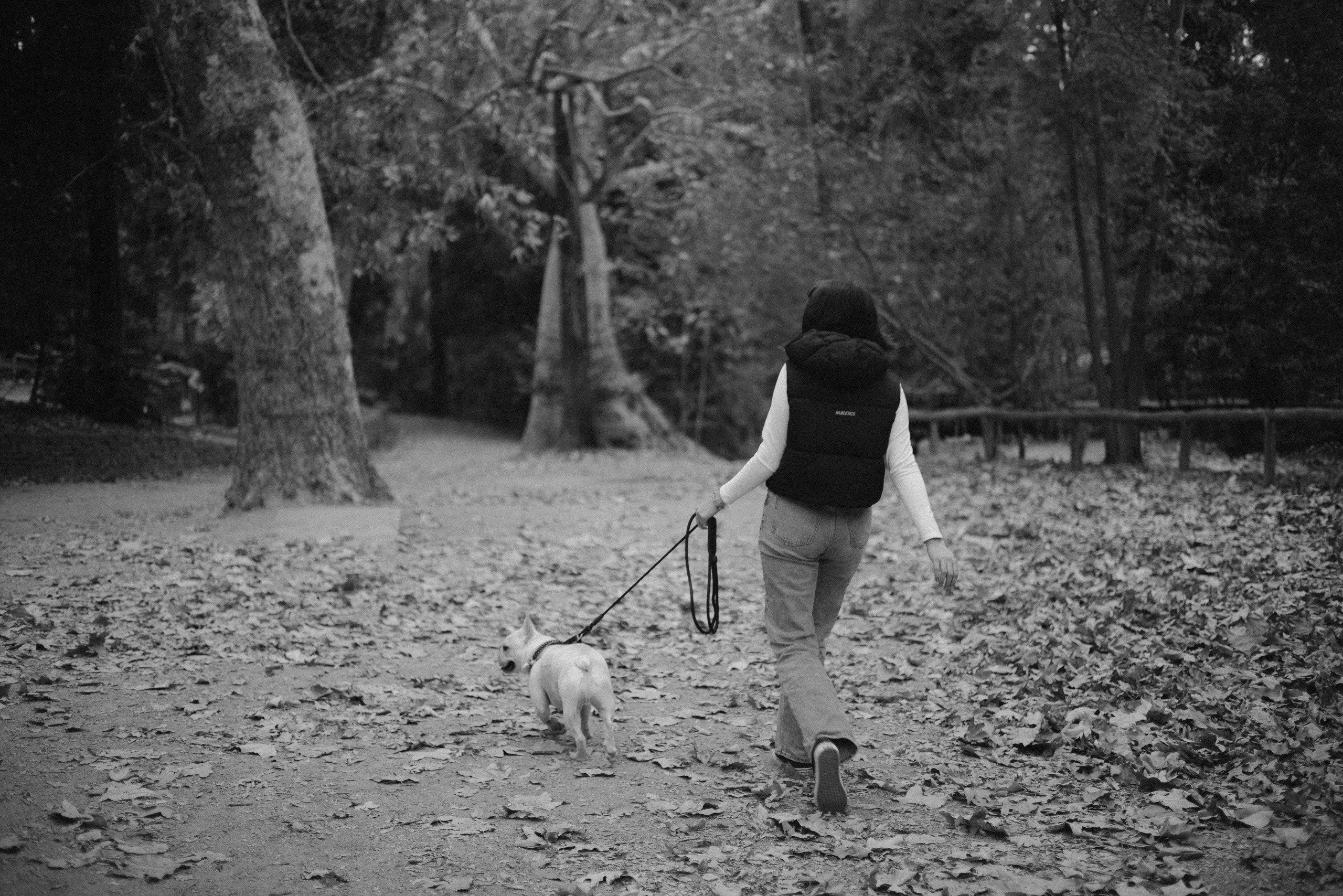 Alie & Asiago. Photographer in Los Angeles. Julia Ishmuratova