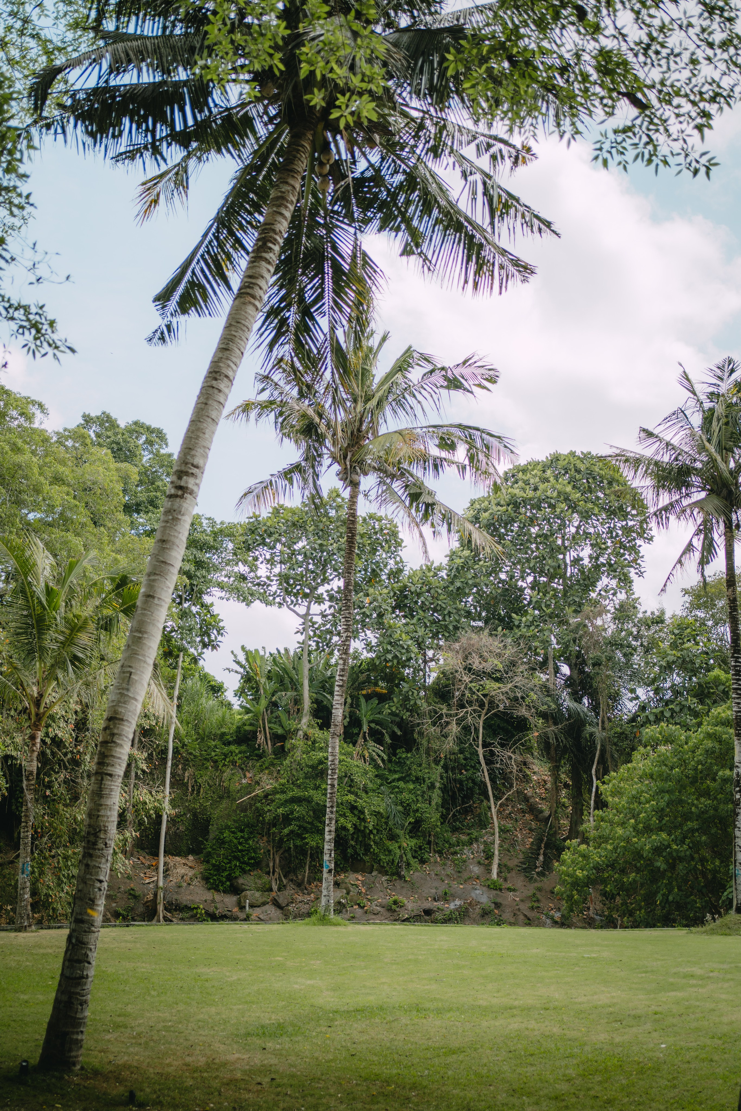 Event photography. Video production in Bali, Photo production in Bali