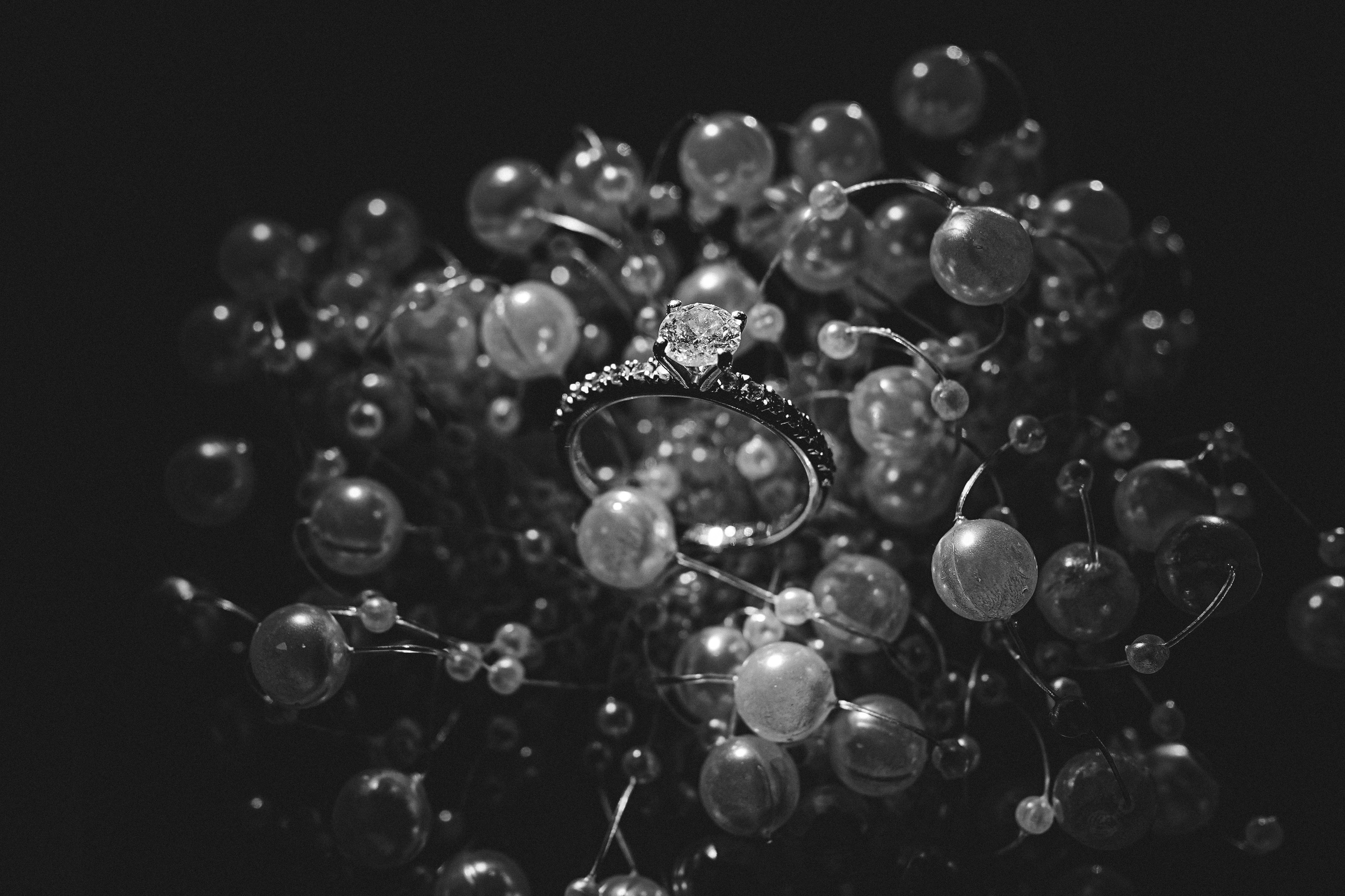 Dmitry Gorodetsky Event Photographer