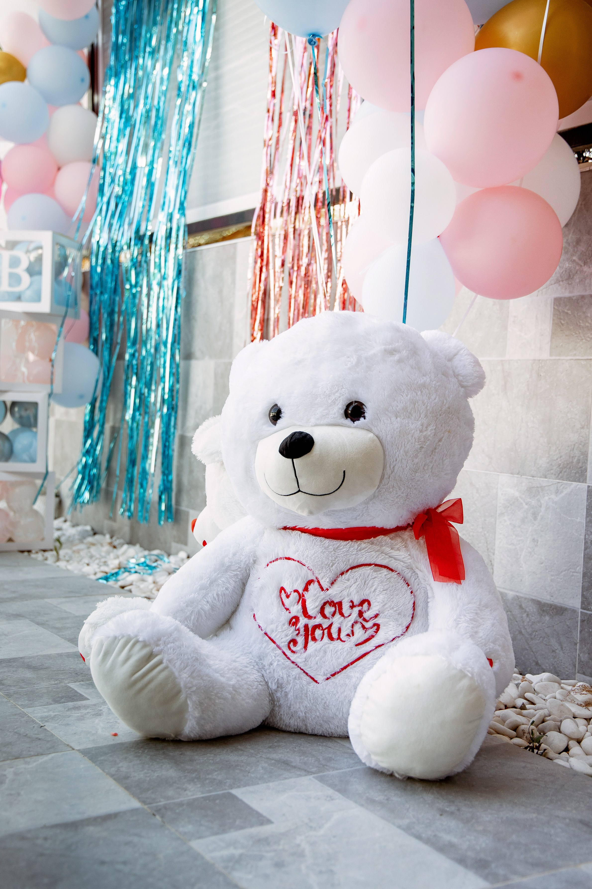 Gender Party for Alina and Michael. Home