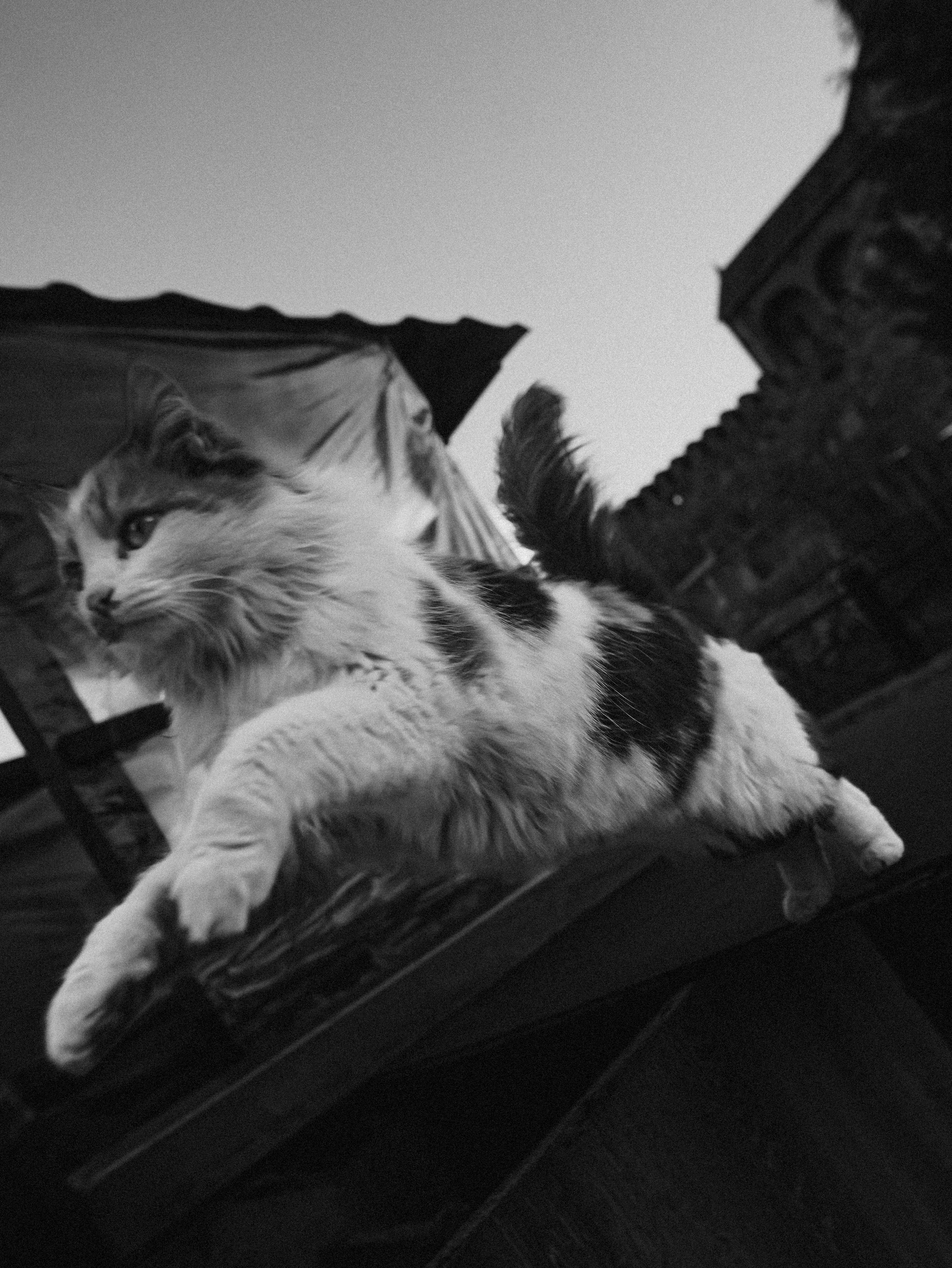 ТБИЛИСИ 2023-2024. Стрит-фотография, полная абсурда, идиотизма и красоты