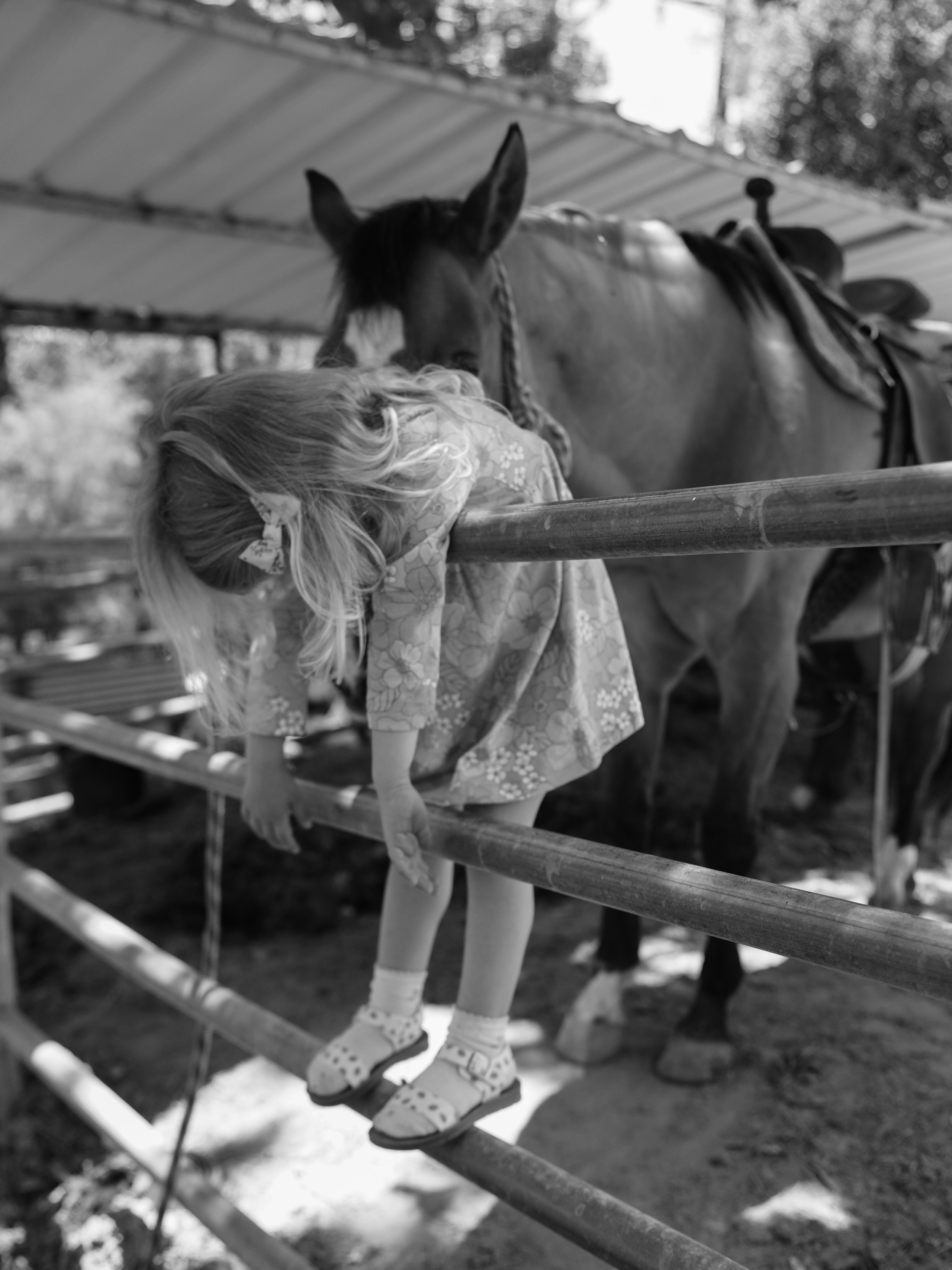 Children with horses. Фотограф и видеограф в США (и по всему миру) — Татьяна Иванова