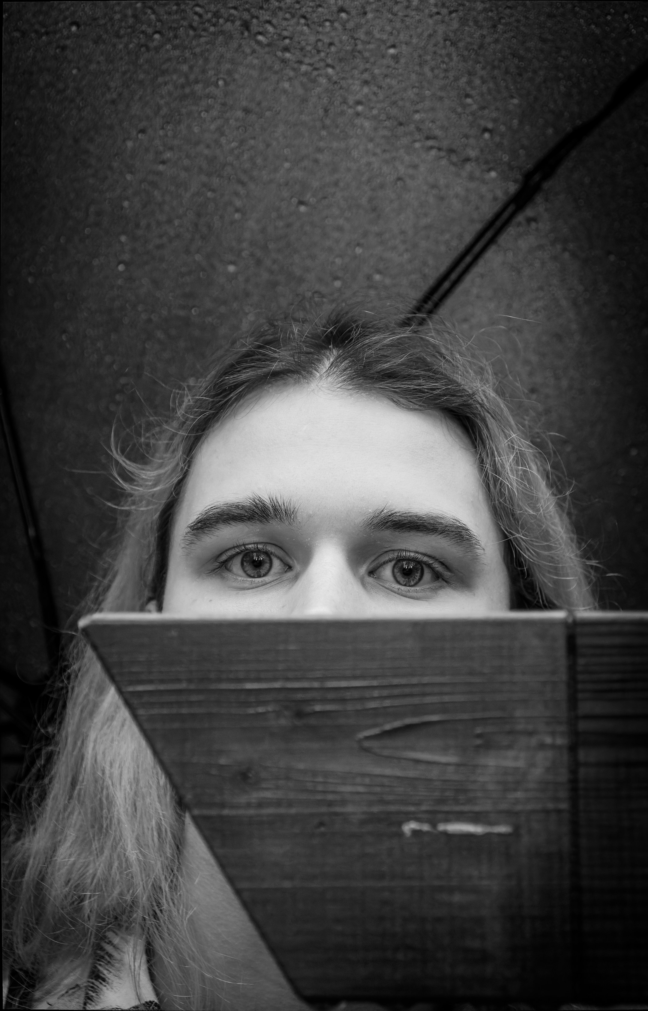 Mets, vihm ja jahedus (Dimitry). Nebula 25 — Fotod teie hingele