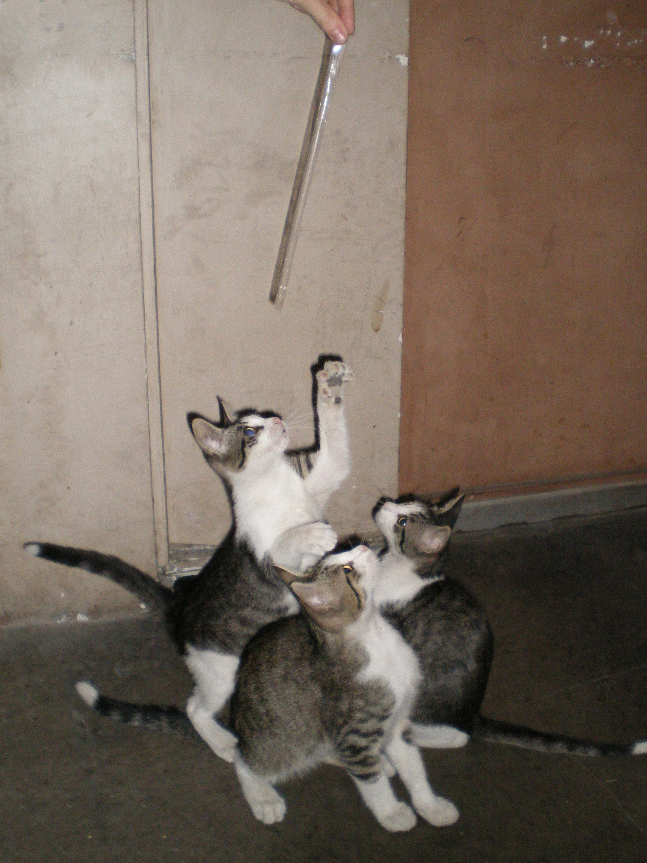 Ode to istanbul. Daria Sukhikh | Photography