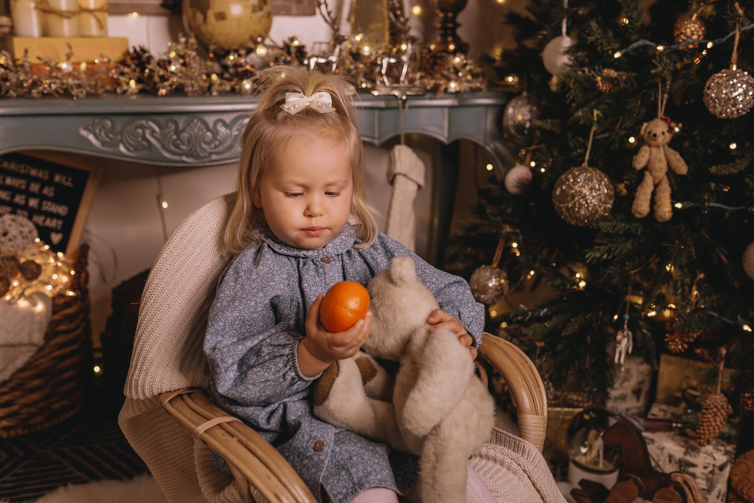 12.08.2025 Christmas Photoshoot. Wedding family event photographer in Chicago Nick Yushevich