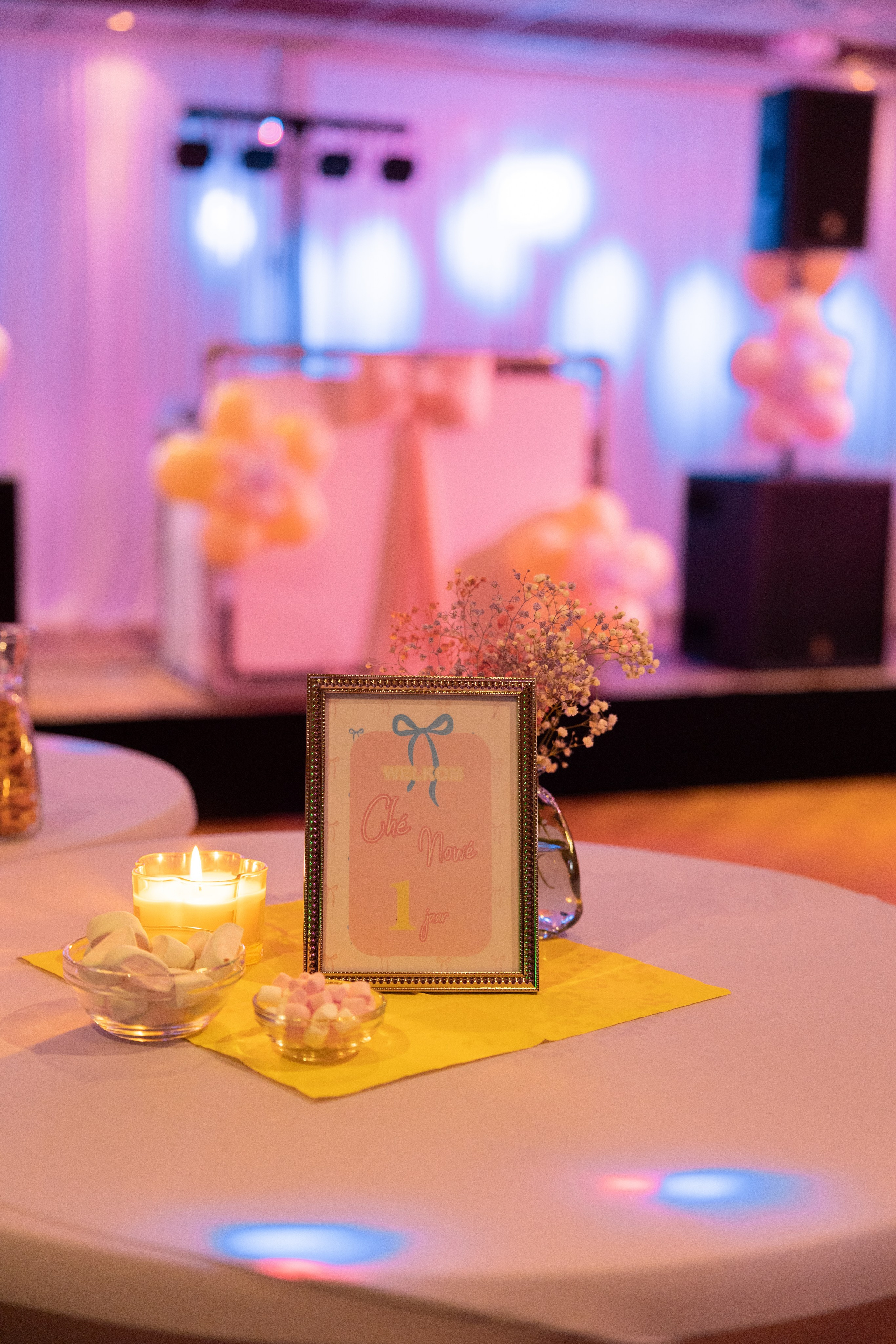 1 st Birthday. Portrait and Family Photographer in Netherlands