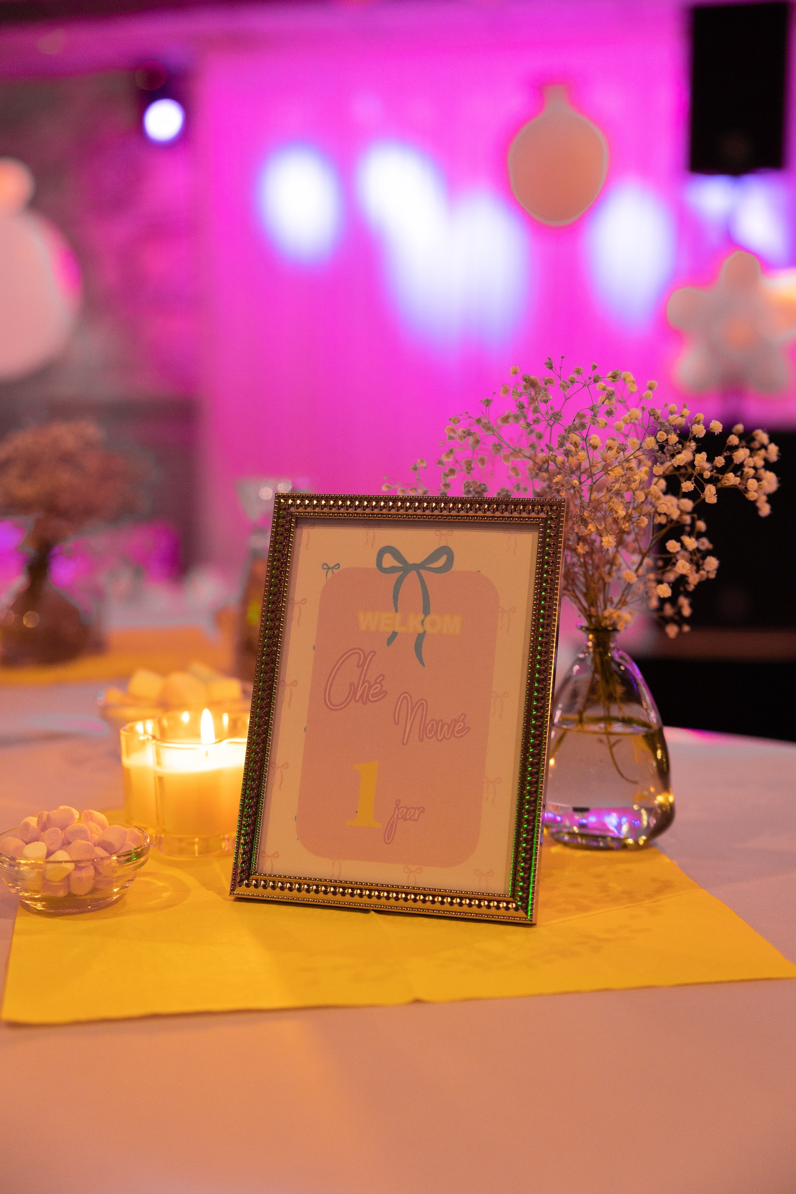 1 st Birthday. Portrait and Family Photographer in Netherlands