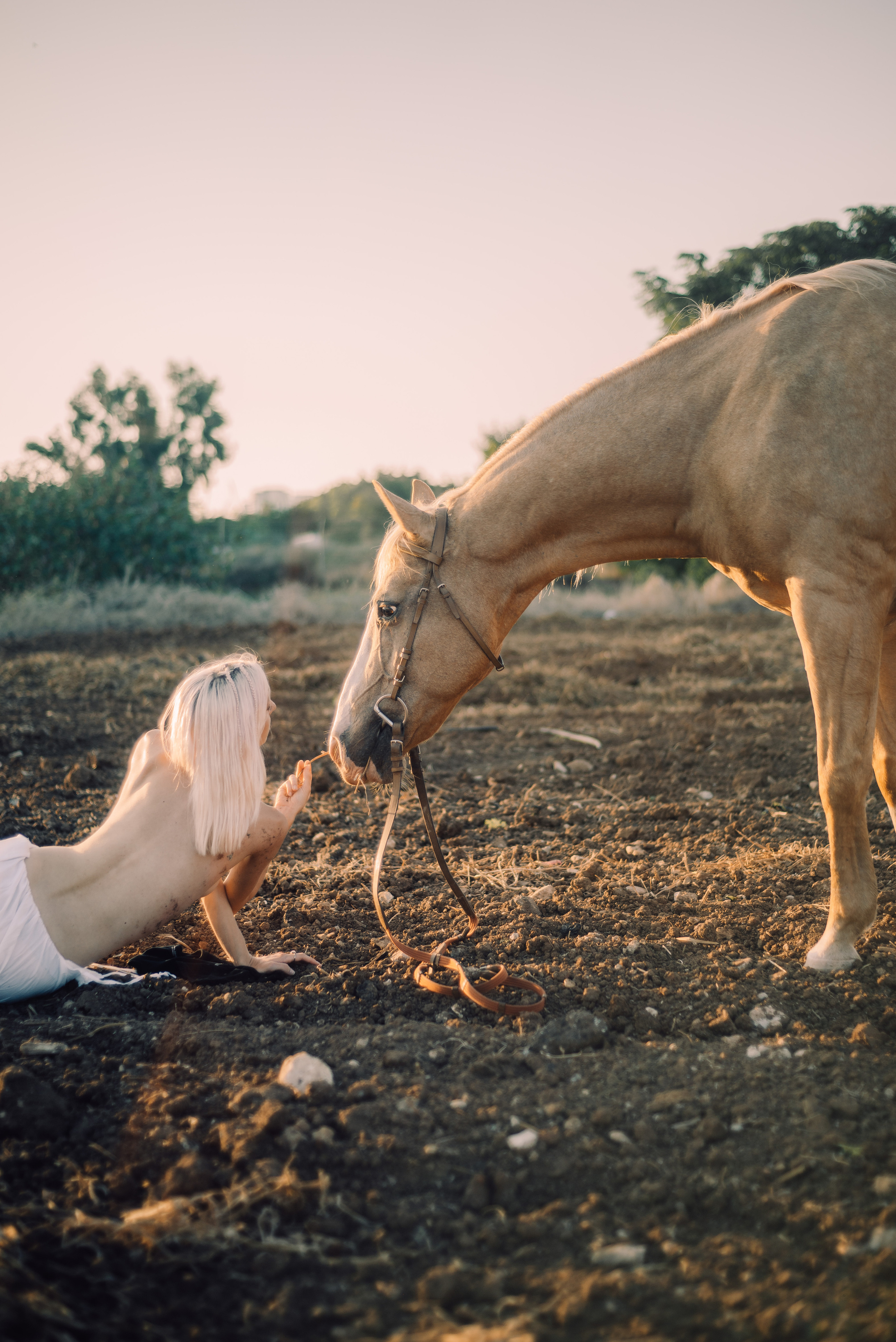 Photo shoot with a horse. Sentiakov Valerii, Photographer. Israel