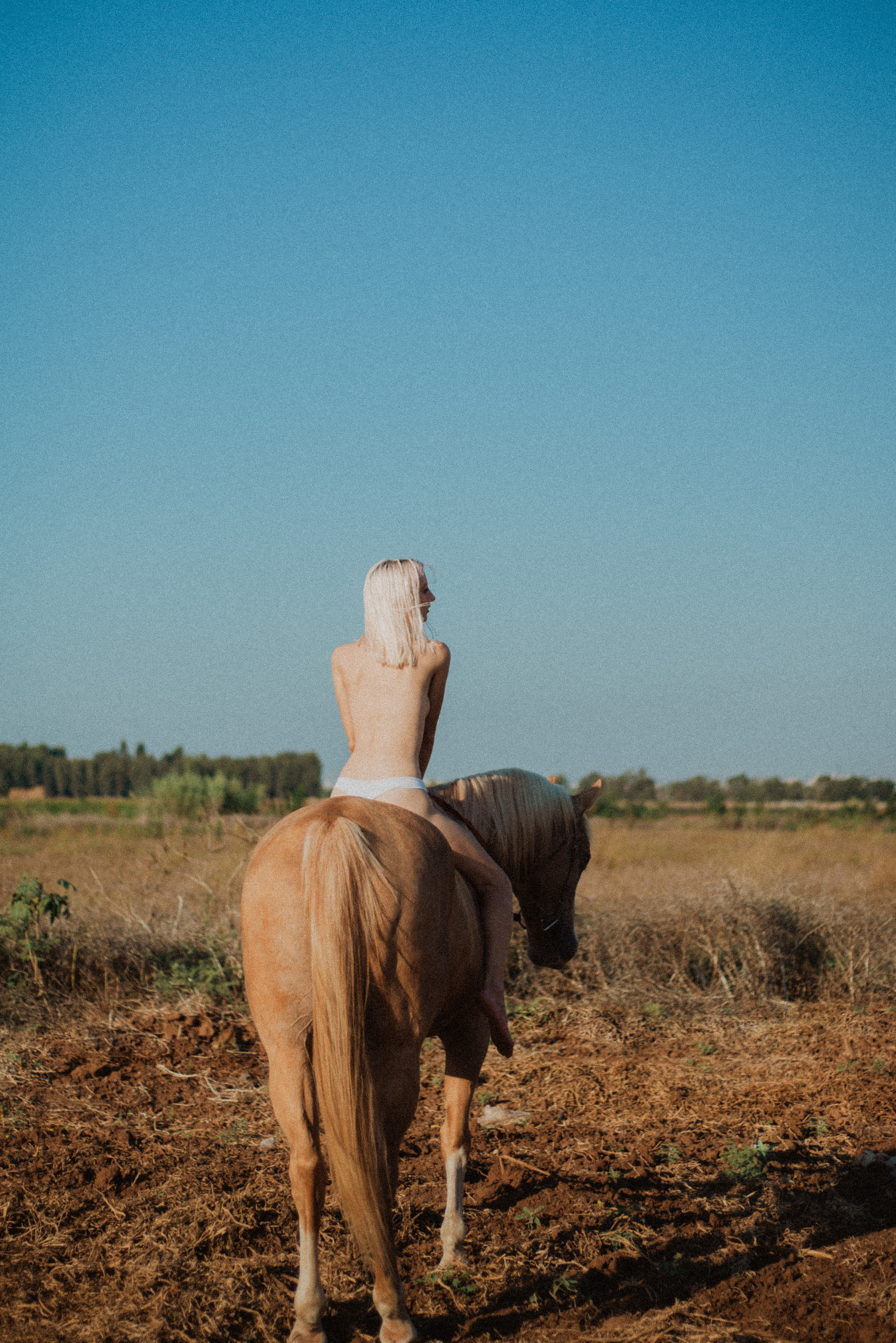 Photo shoot with a horse. Sentiakov Valerii, Photographer. Israel