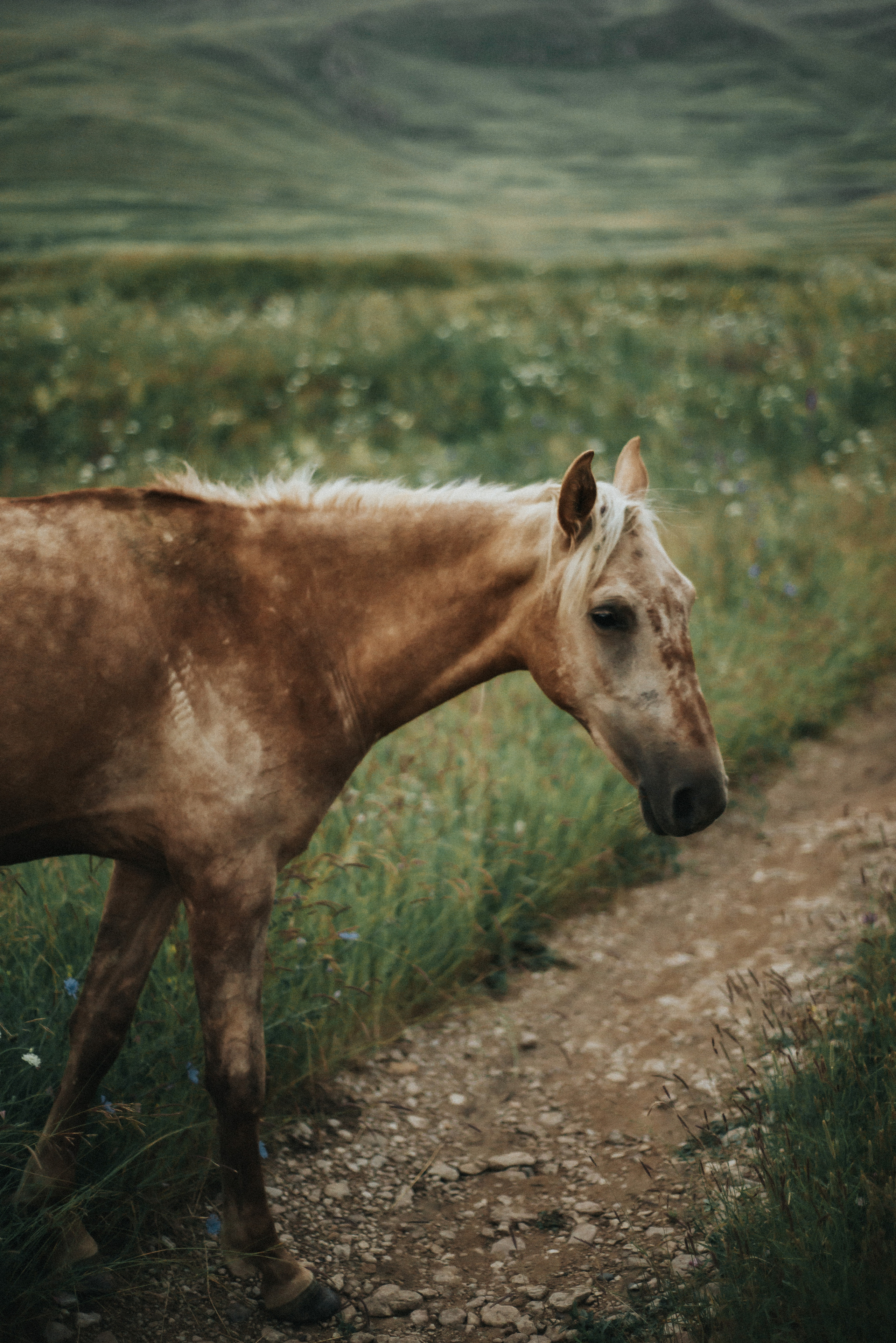 Photo tour in Dagestan. Sentiakov Valerii, Photographer. Israel