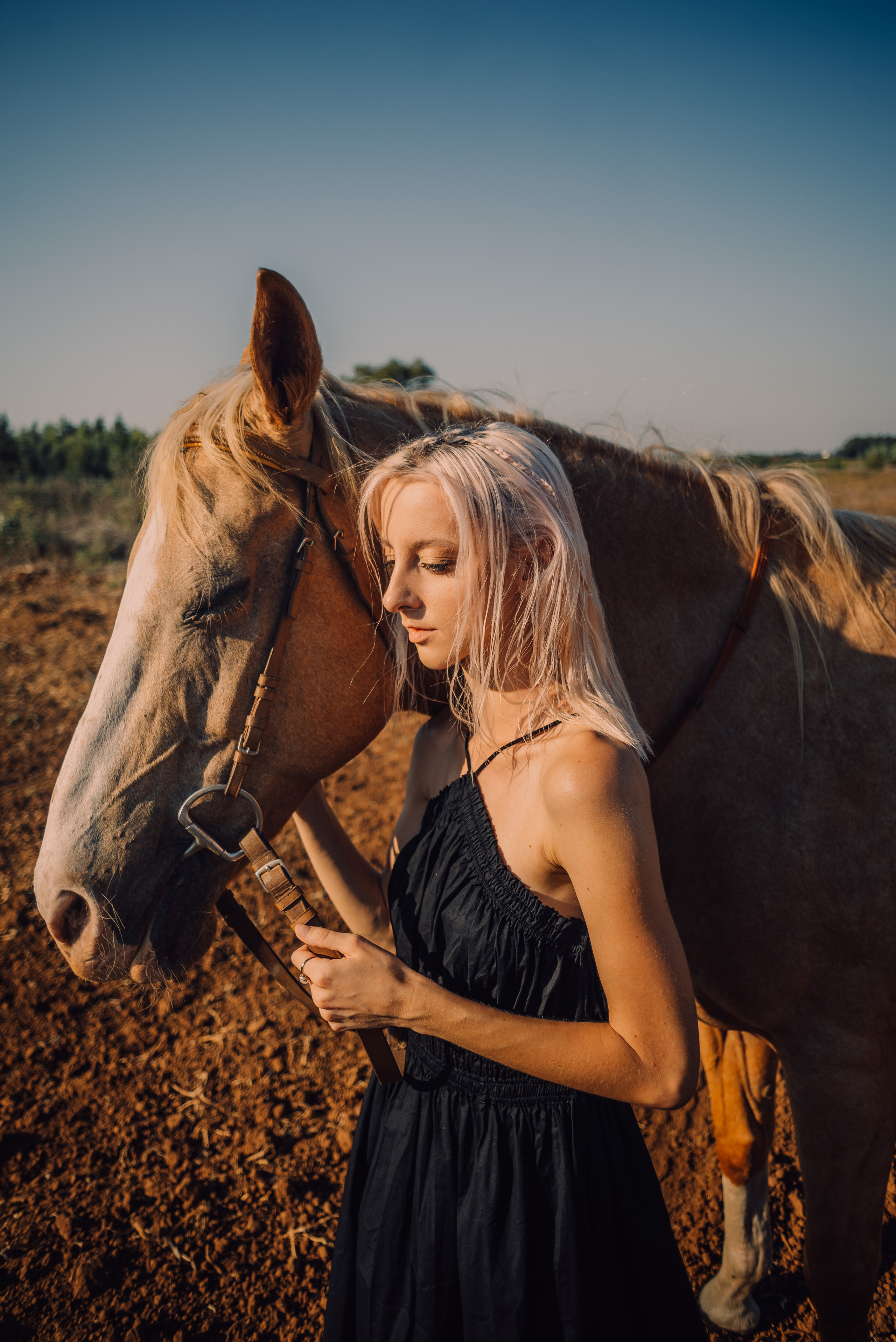 Photo shoot with a horse. Sentiakov Valerii, Photographer. Israel