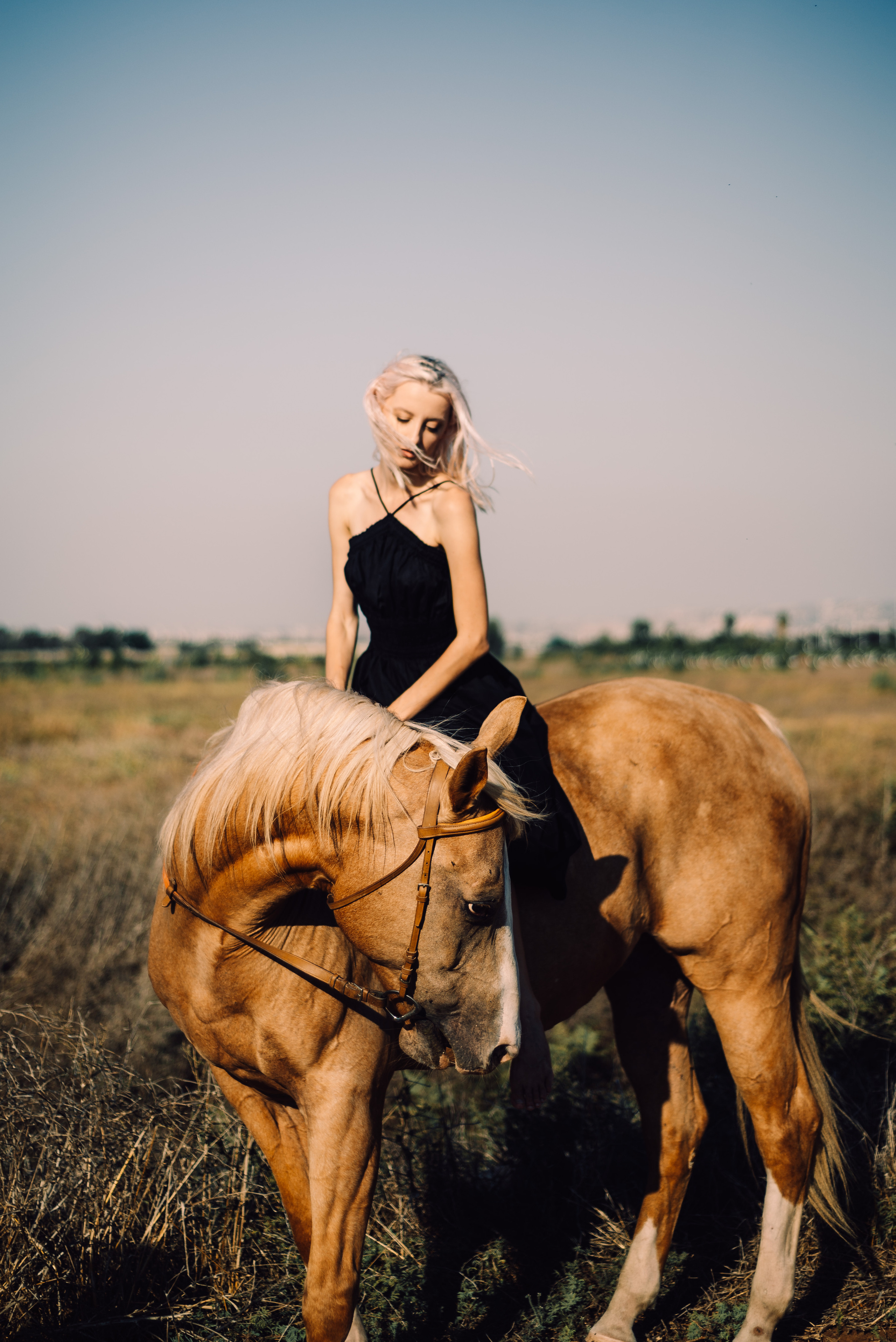 Photo shoot with a horse. Sentiakov Valerii, Photographer. Israel
