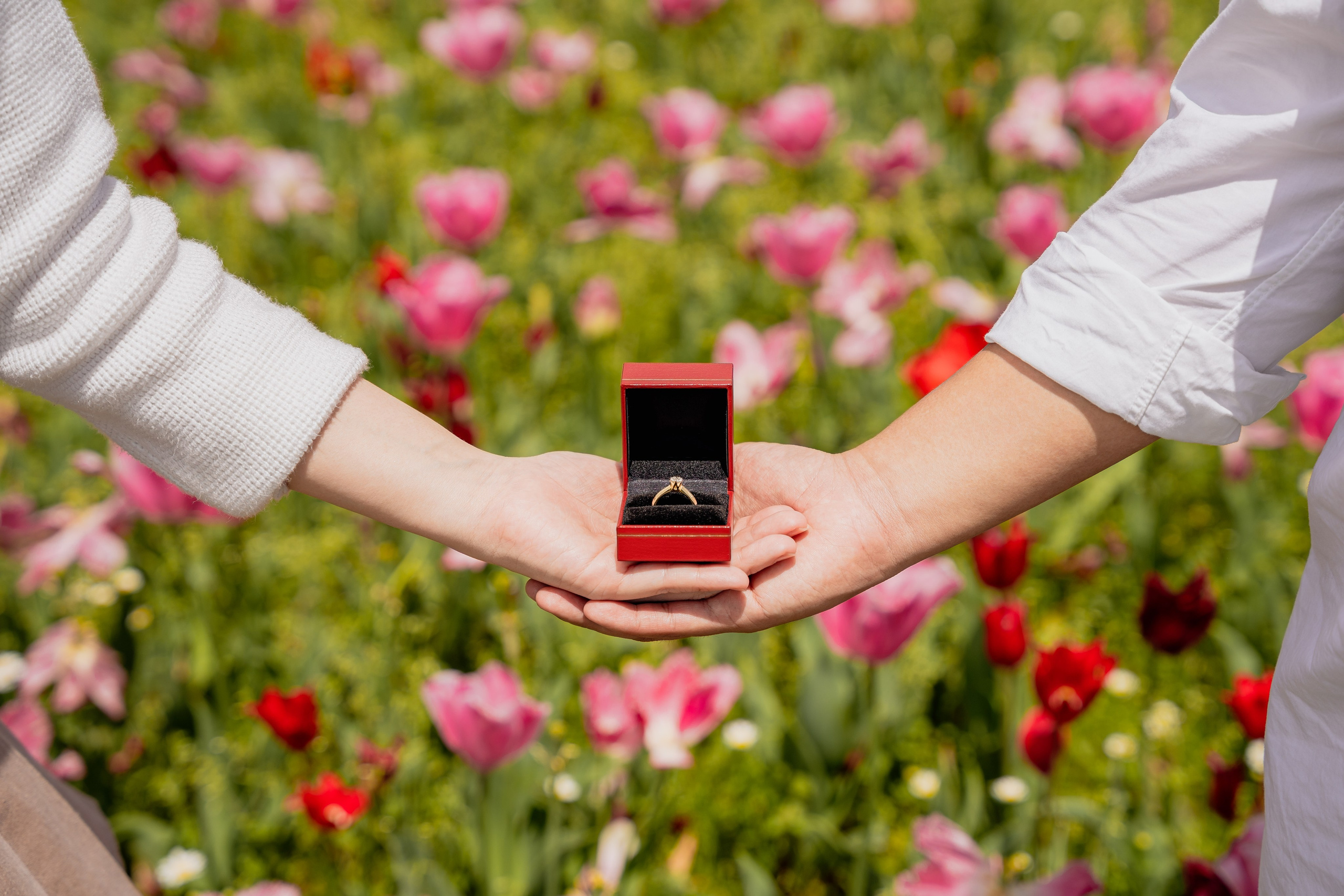 Surprise Proposal Photography Uminonakamichi Park | Fukuoka Engagement Photographer. Portrait Photographer in Fukuoka, Japan | Alina Nazarova