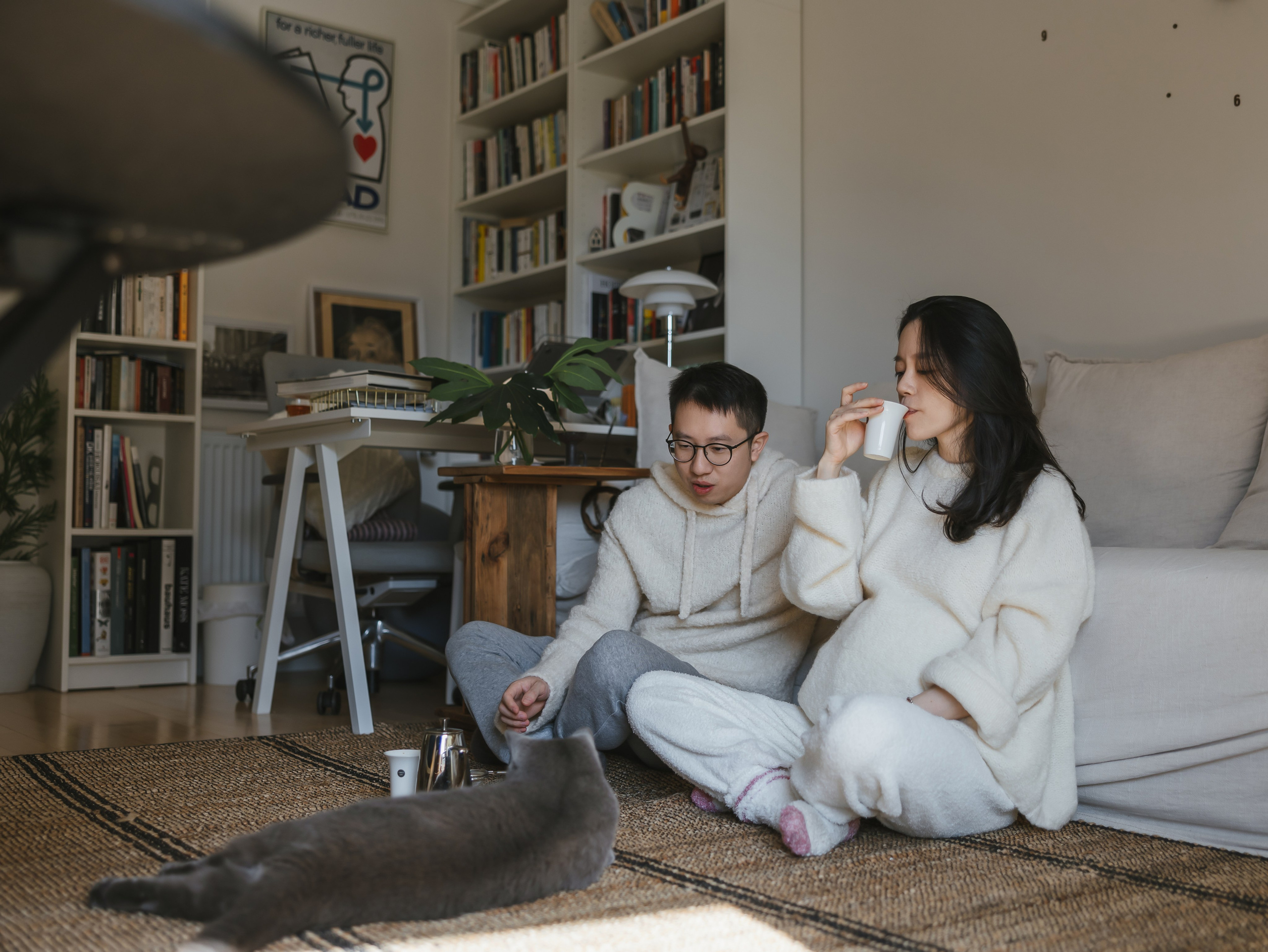 Photos of pets. Shanghai Family Photographer Dora