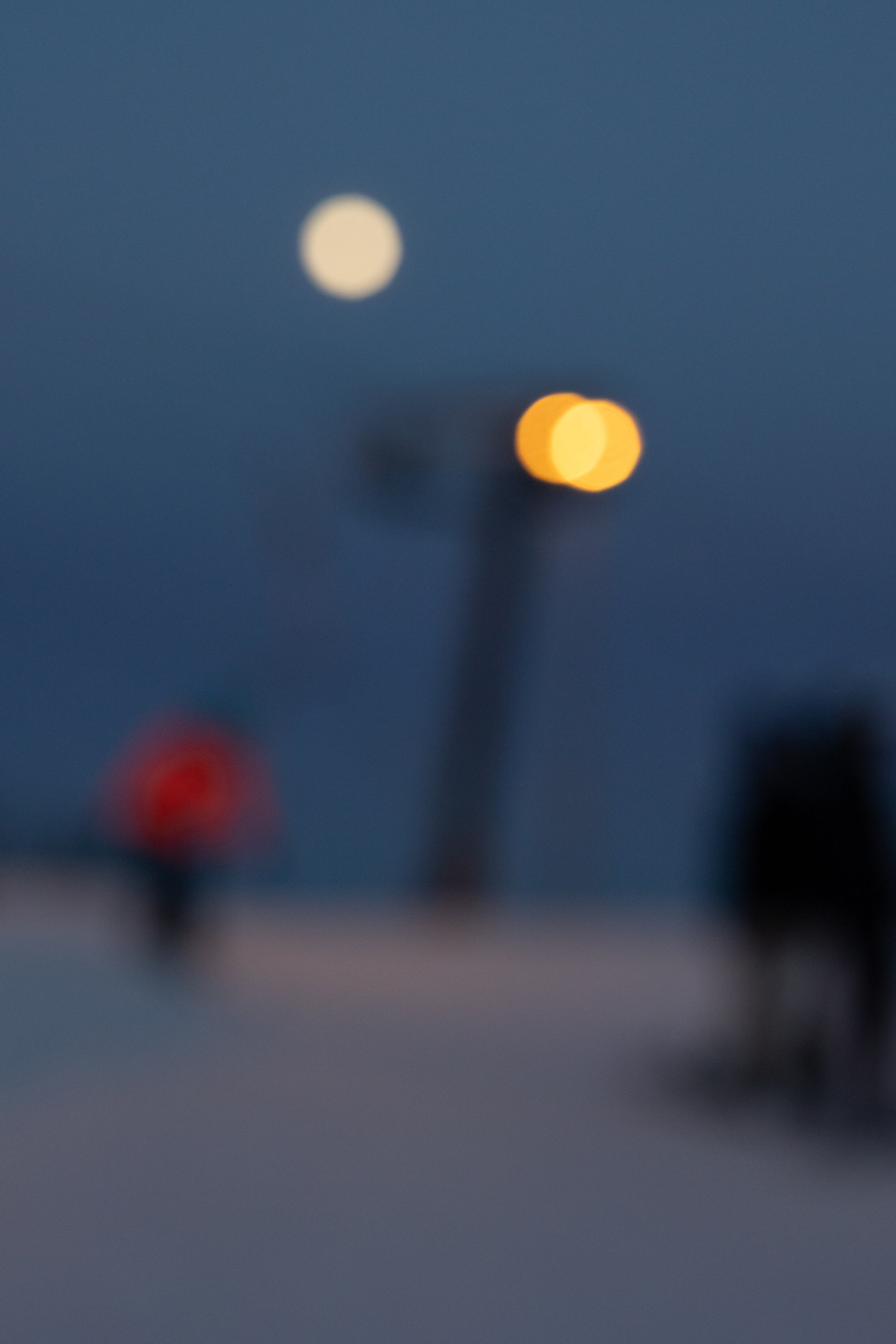 Friends or foes. Maija Bondar Photographer