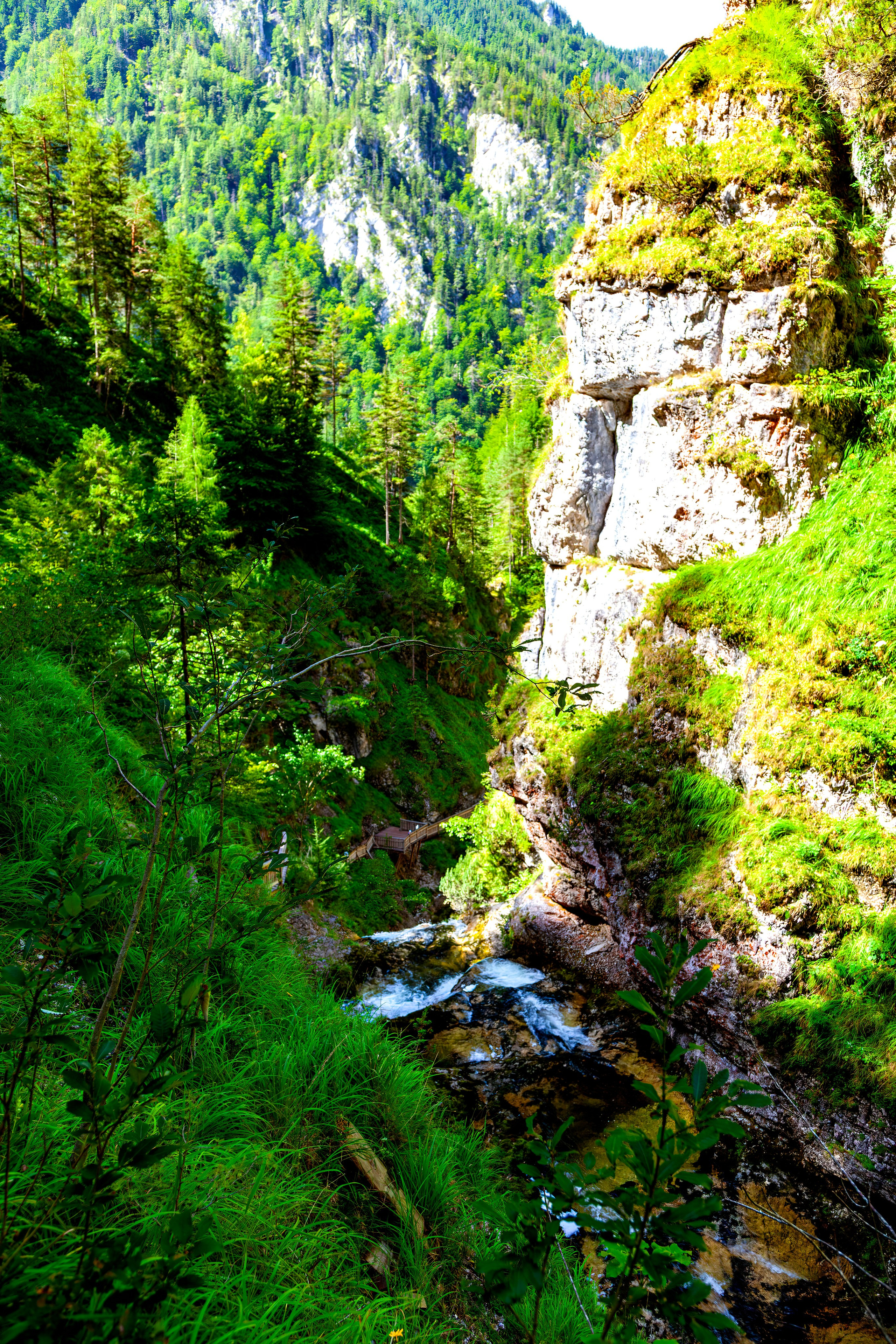 193.Wasserloch Klamm.Palfau.18.8.2025. Путешествия в формате 360......