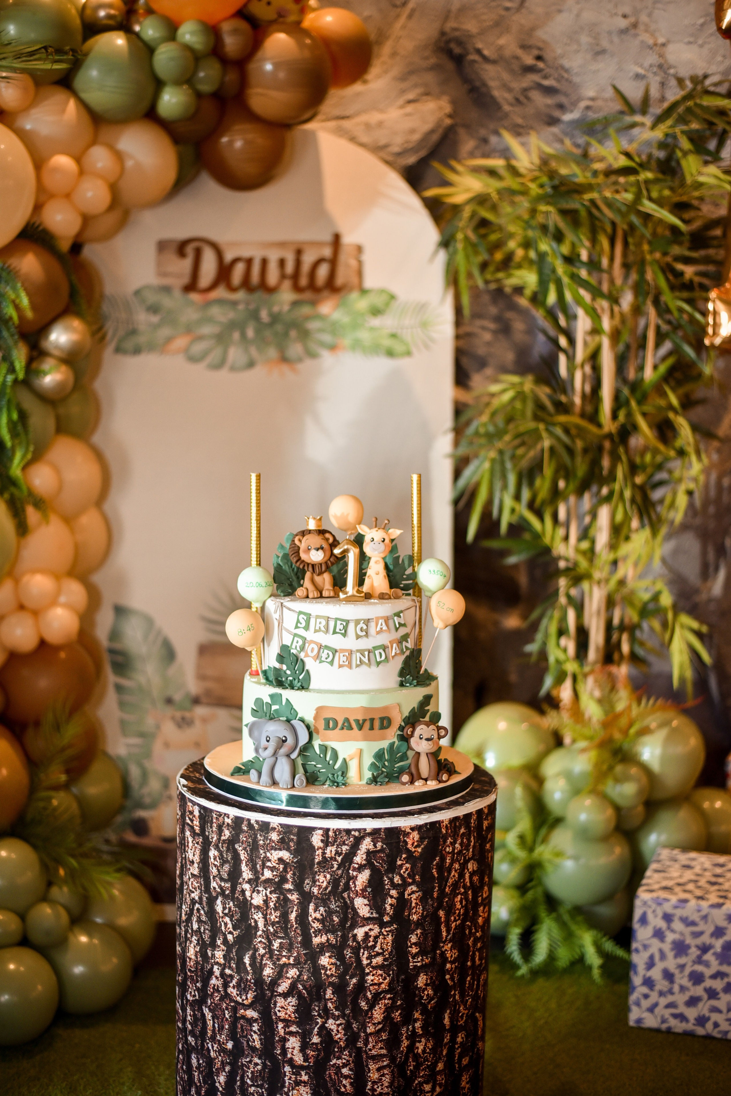 Proslava prvog rodjendana / celebrate first birthday