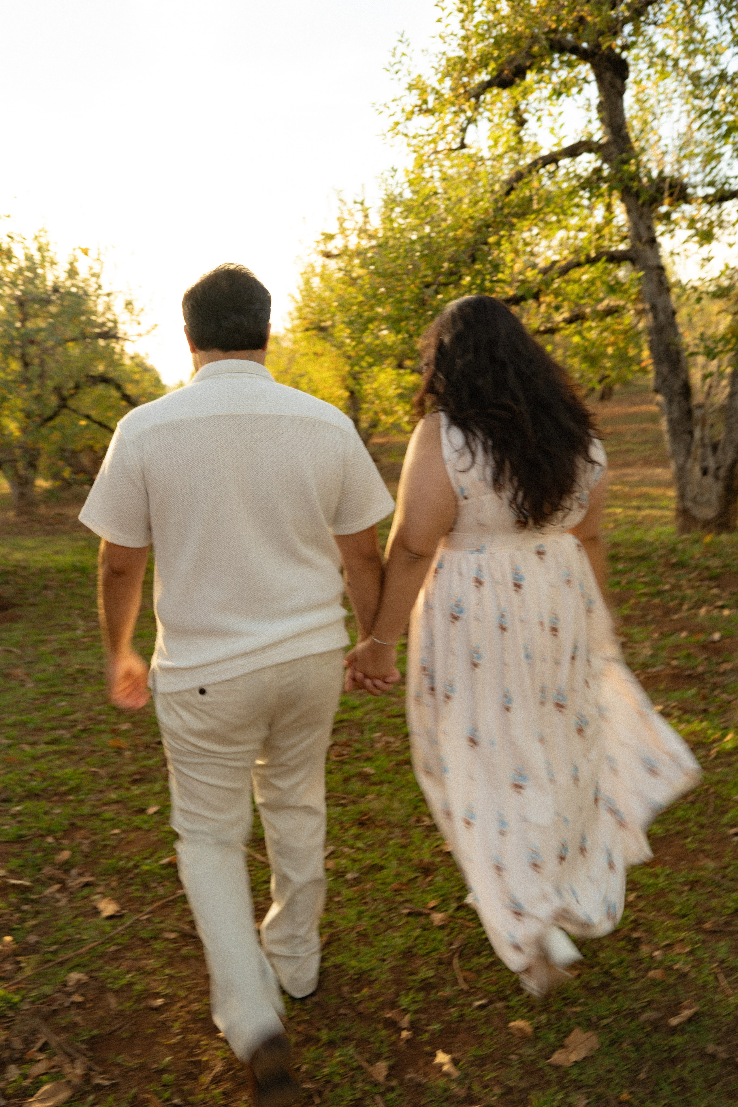 Love Story — Apple Hill