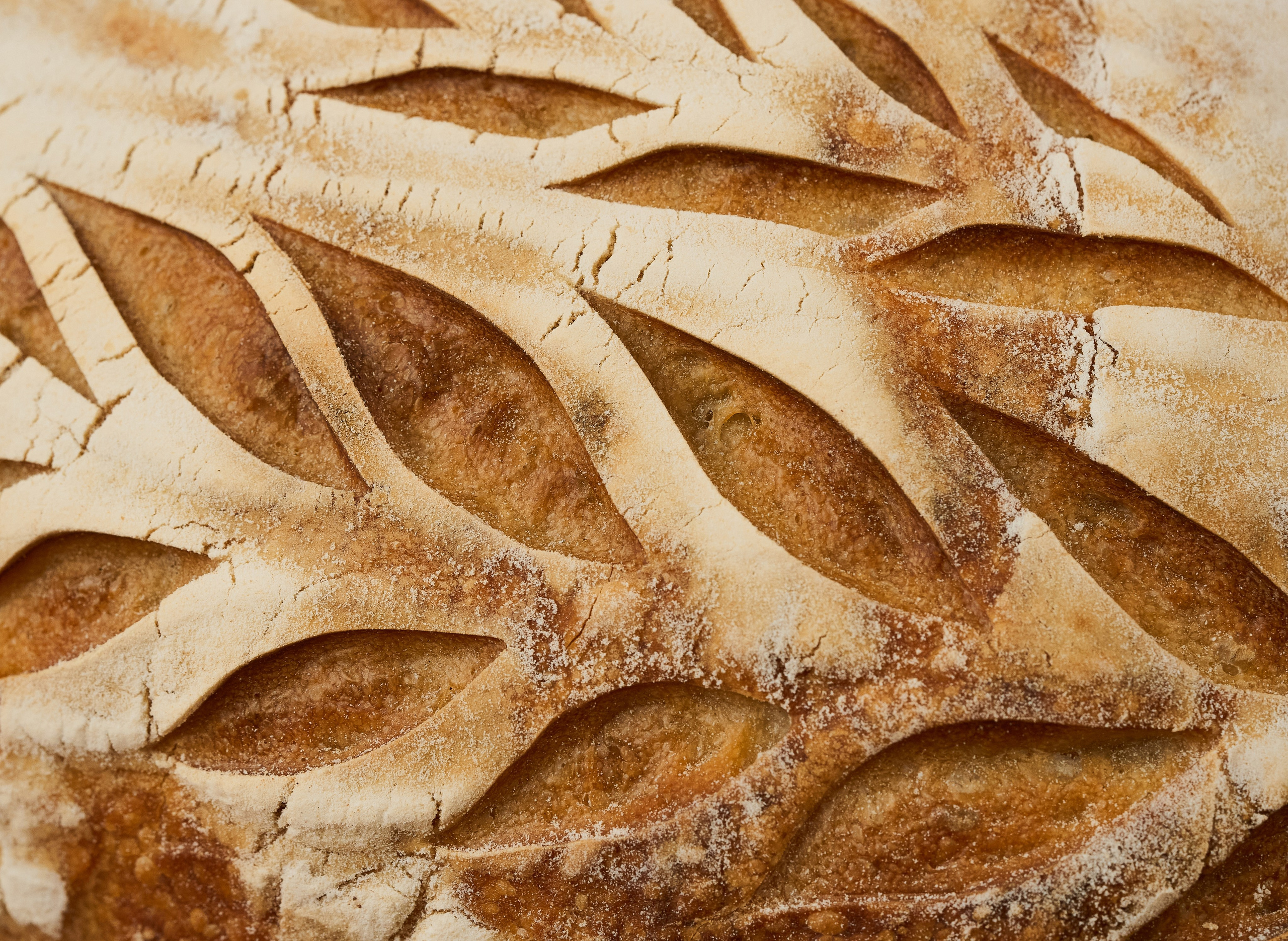 Panni bakery. Фотограф| Кишинев, Молдова