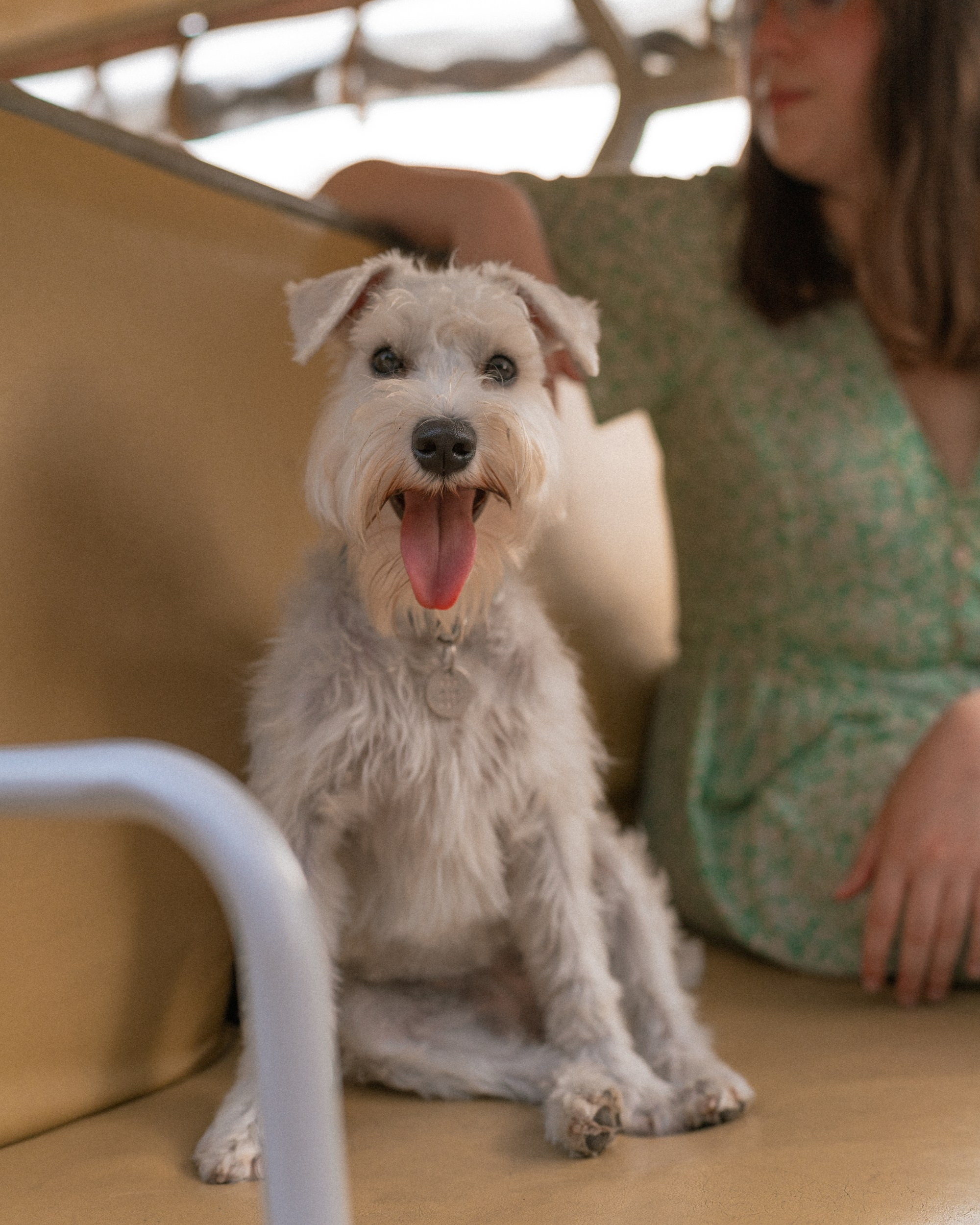 Ольга и Халва. Индивидуальный и свадебный фотограф в Батуми Валерия Азаренко