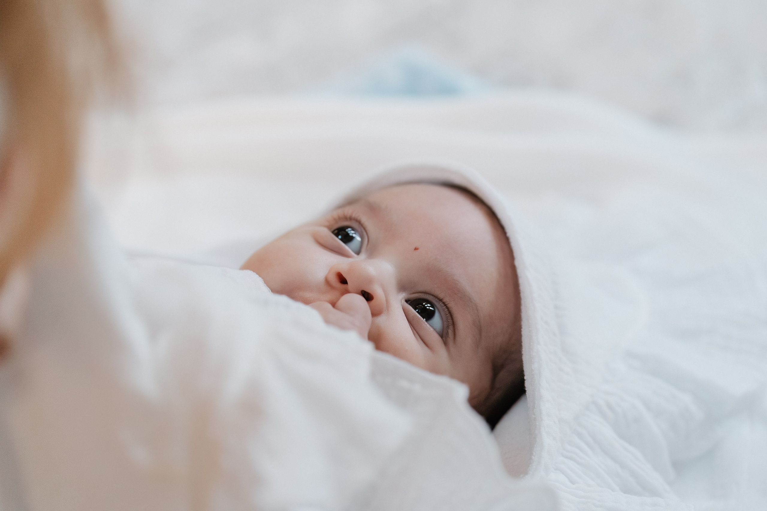 Cezar Ioan. Dara Lens | The art of remembering