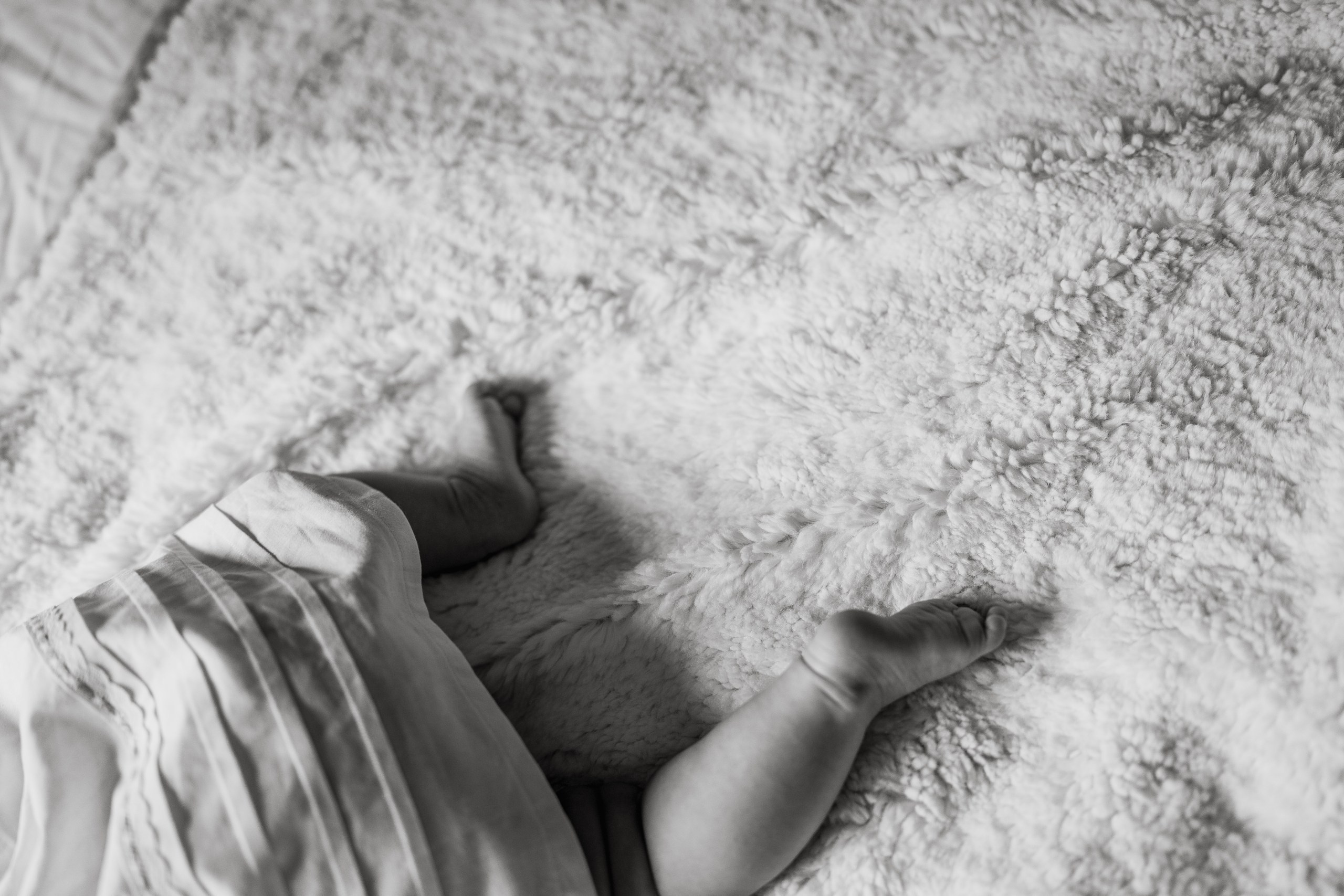 Farah, Sam, Serena, Mellie. Alisa Tant — Family and newborn photographer Bucks County, Montgomery county, Philadelphia, NJ
