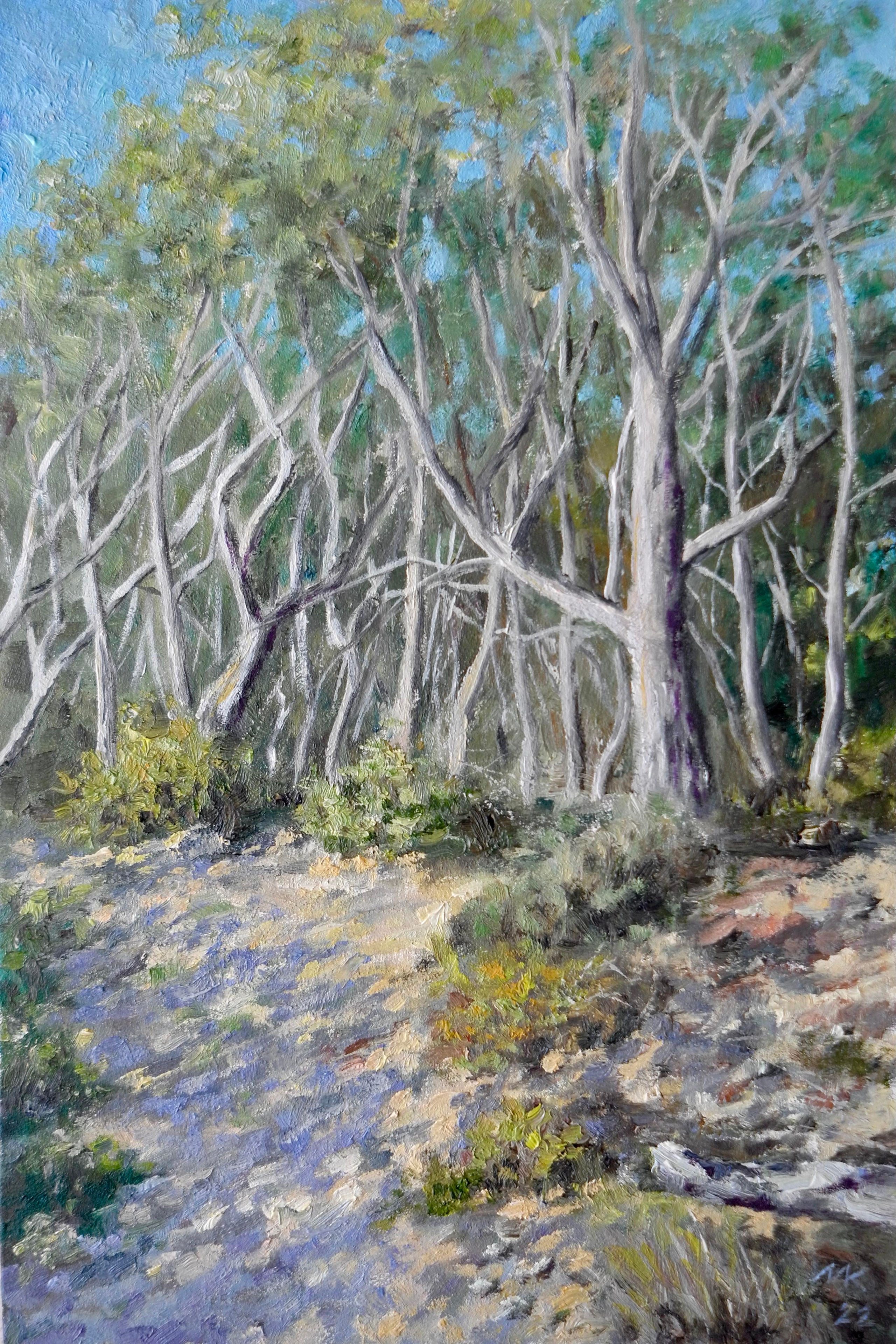 30 X 20, cartón óleo