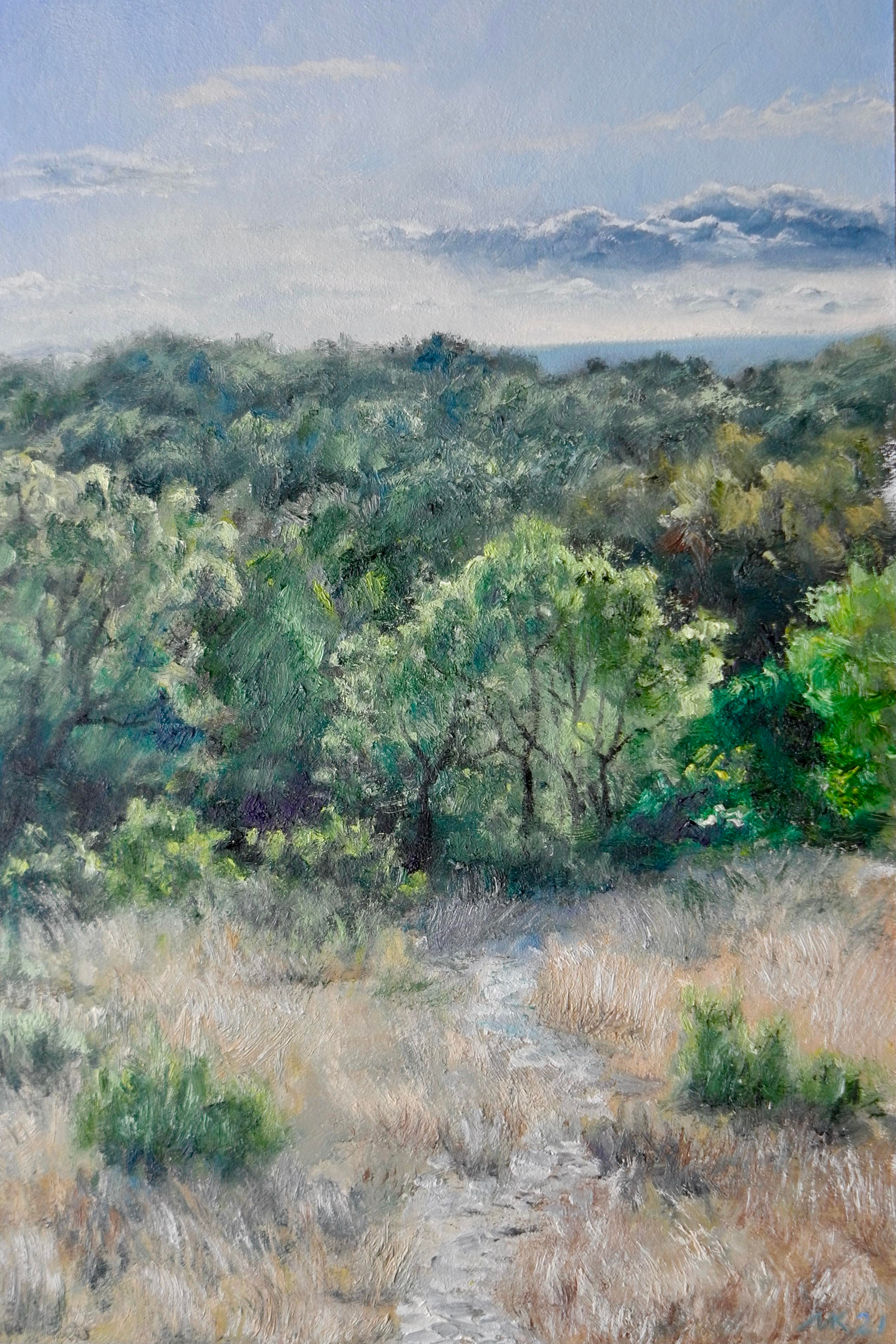 30 X 20, cartón óleo