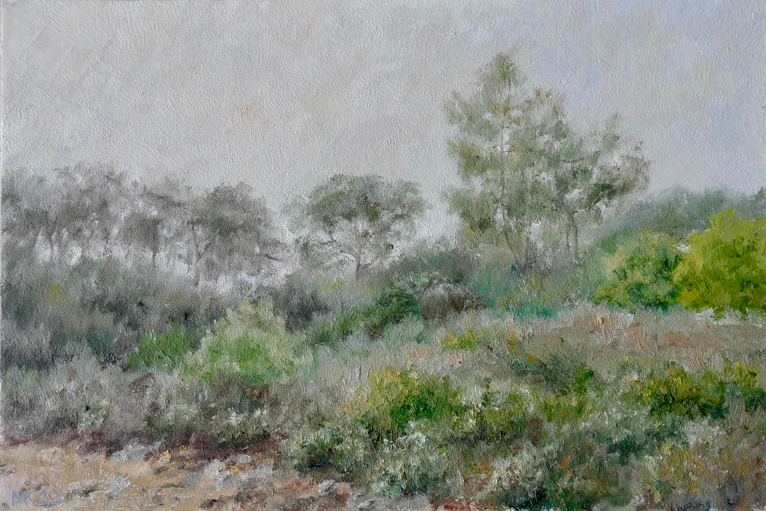 20 X 30, cartón óleo