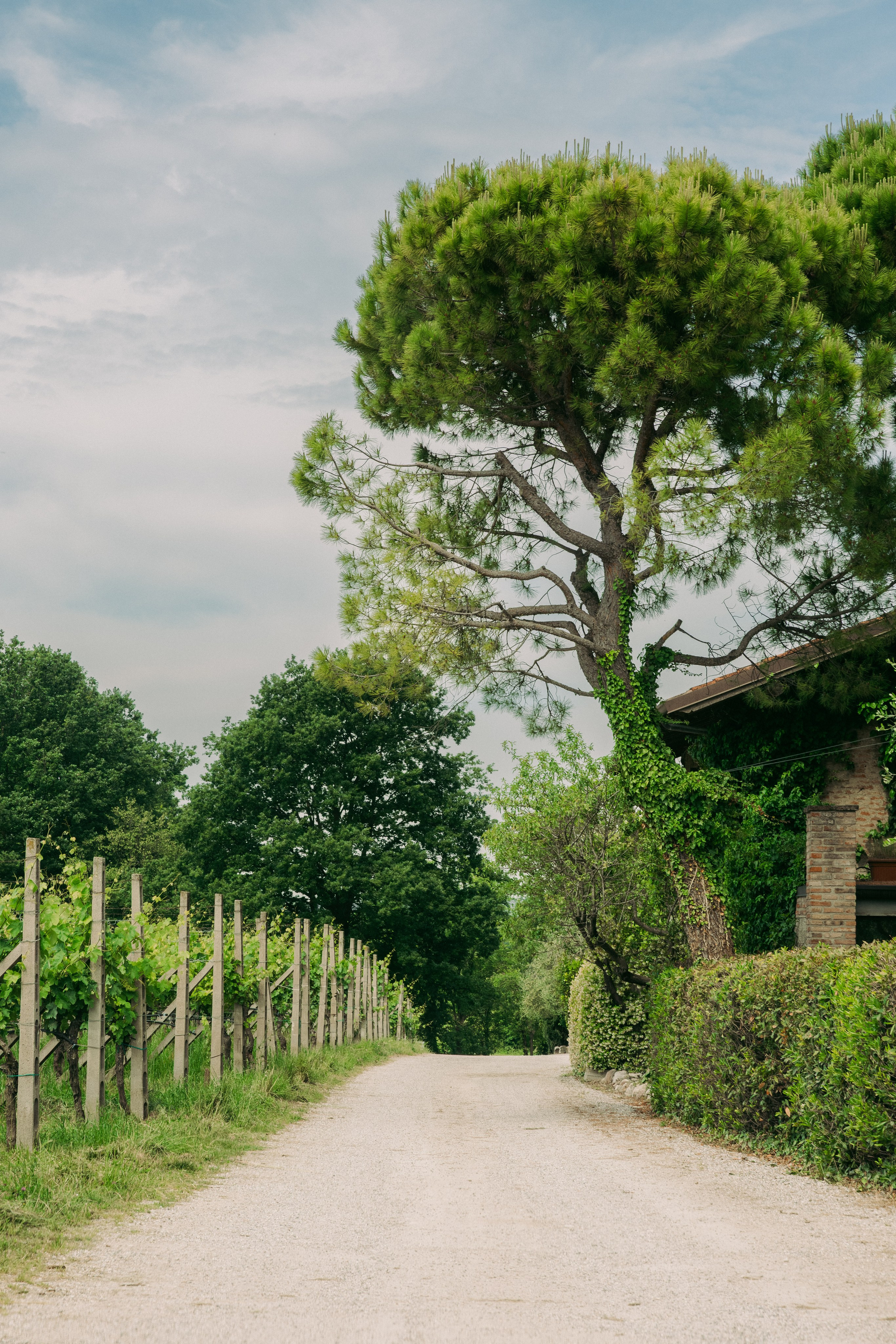 A&R. Garda Lake Wedding Planner