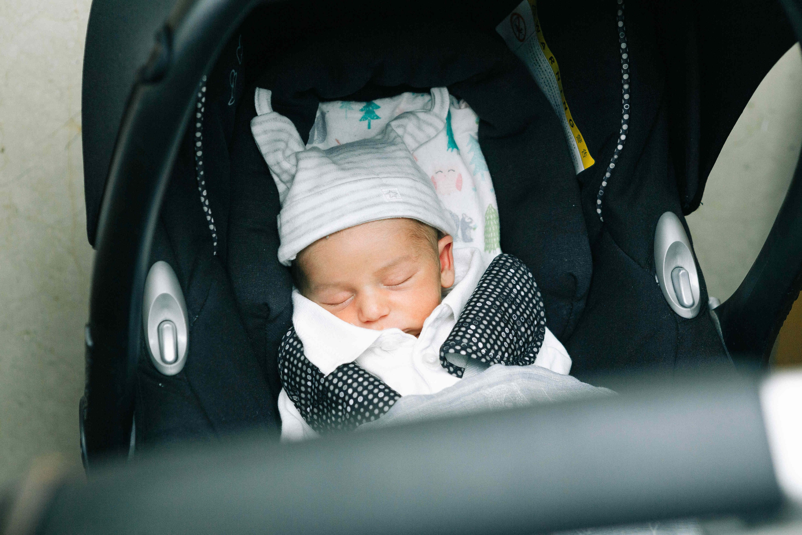 BRIT MILA IN MEVASERET ZION. Https://shi-photo.com/