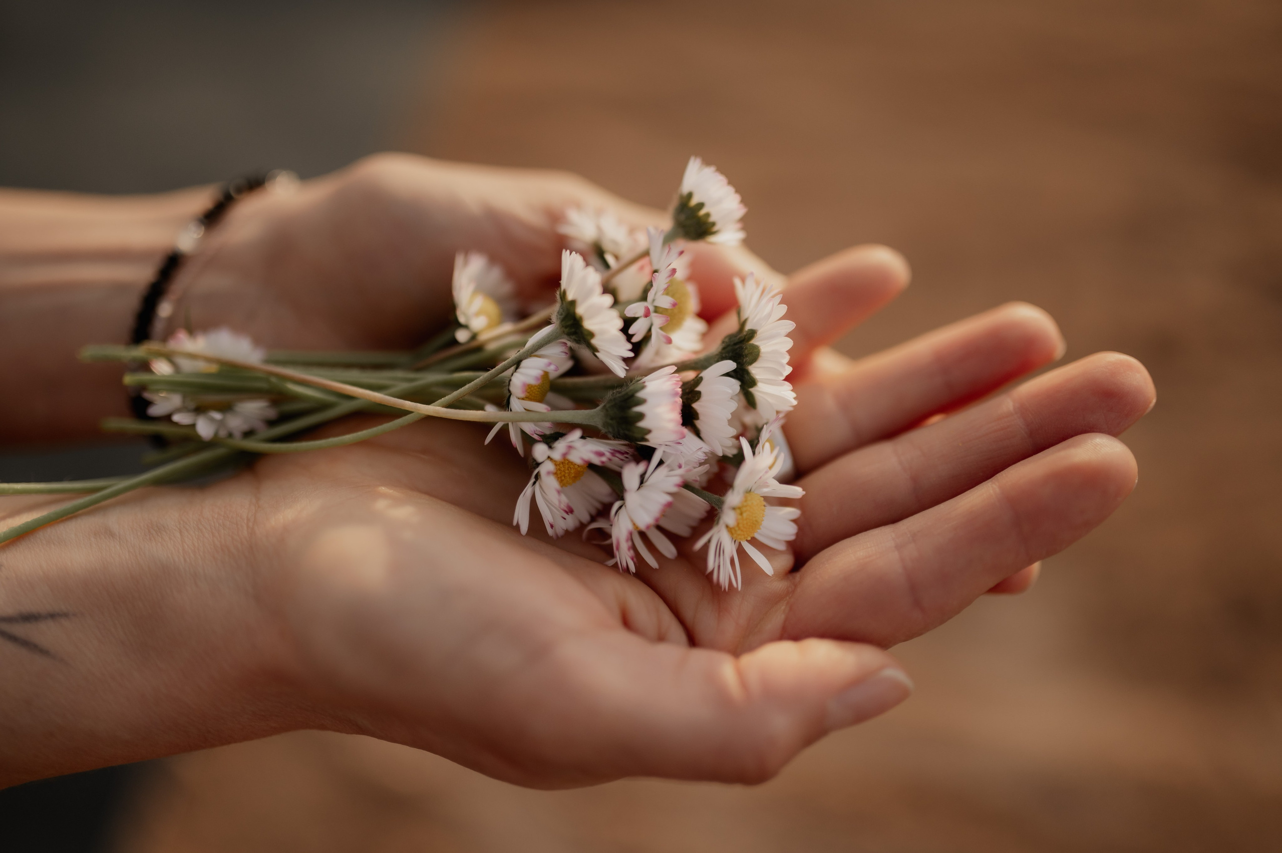 Business Shooting in Ansbach. Fotografin Ansbach - Paare | Hochzeit | After Wedding
