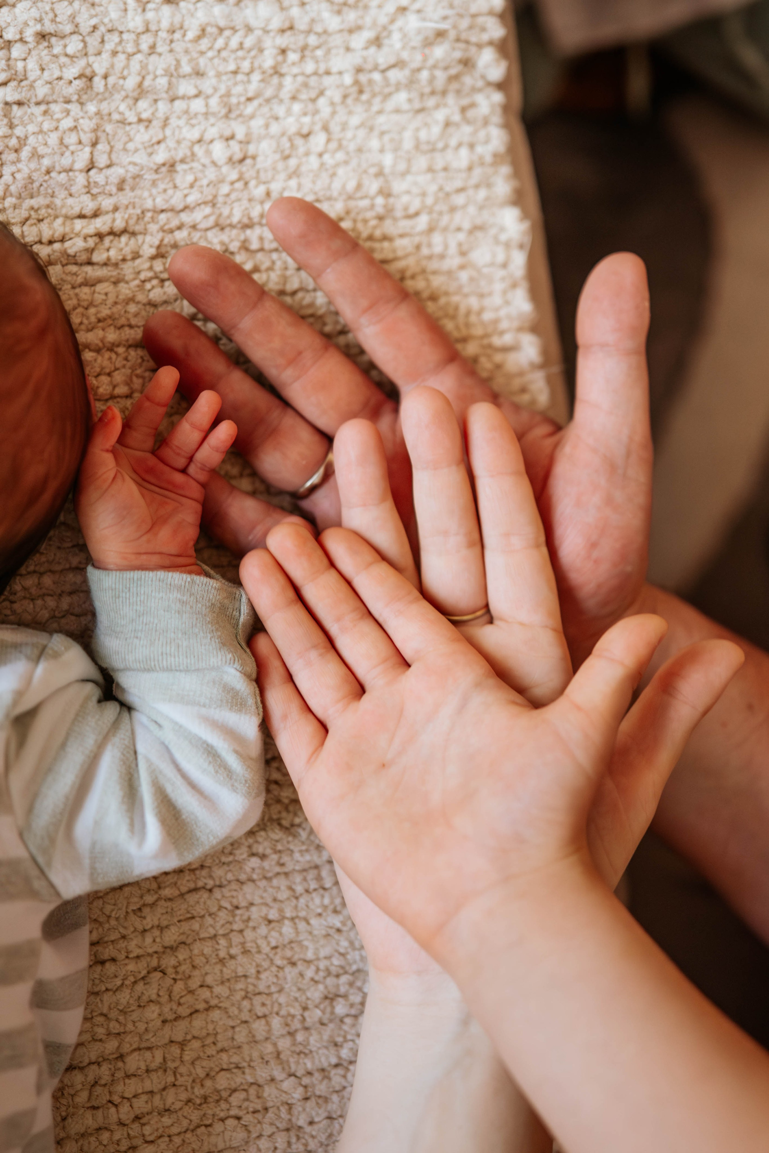 Bojan, Marija, Mihajlo, Viktor i Aleksa - porodično fotografisanje. Dečiji i porodični fotograf