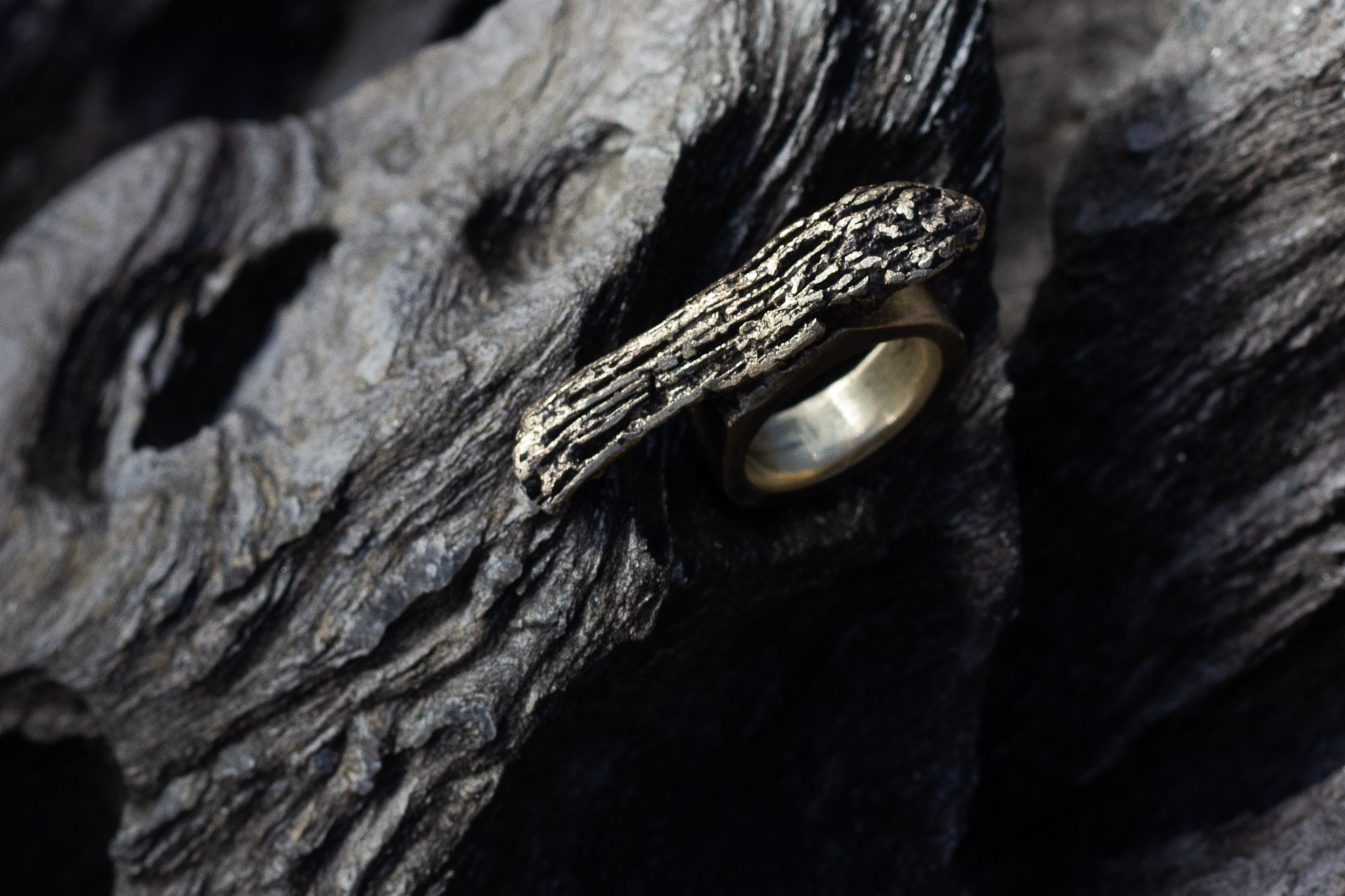 GA·DASHI | MULTIDISCIPLINARY ART