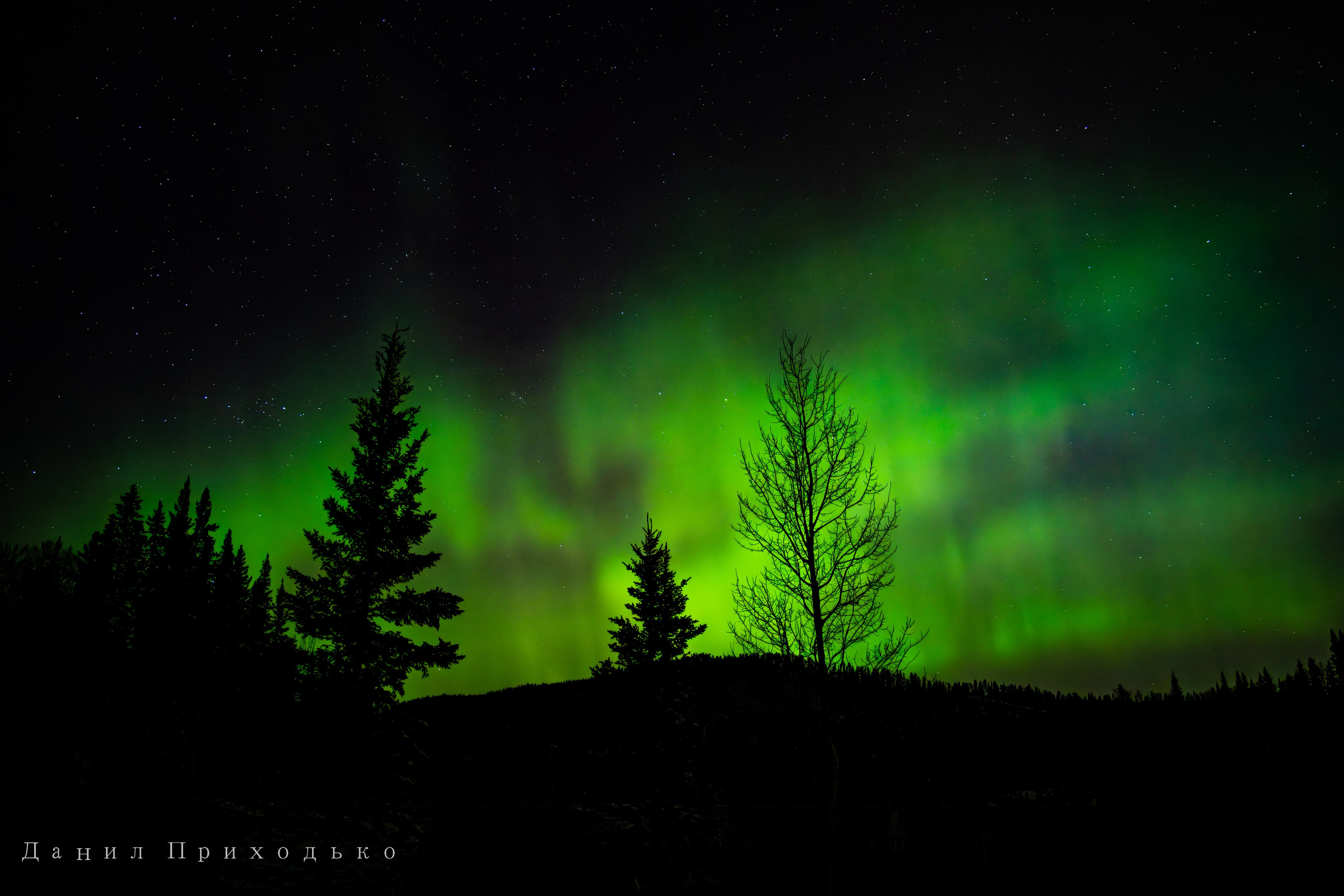 Danil Prikhodko Photography