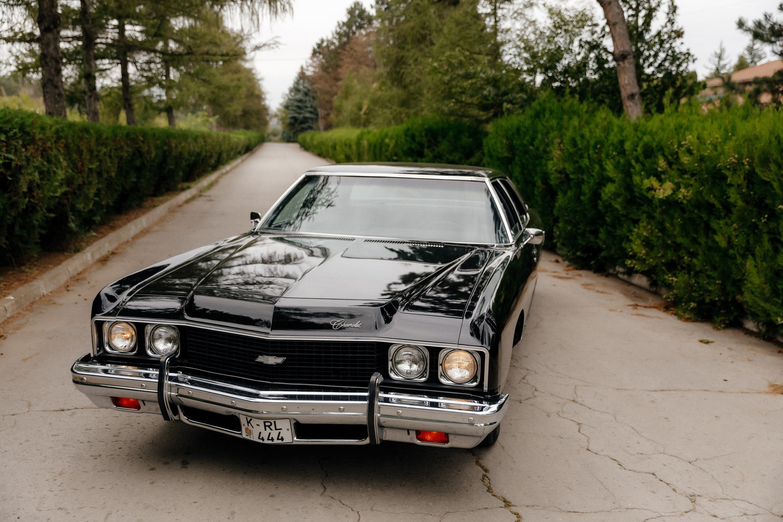 Wedding. Fulga Photographer