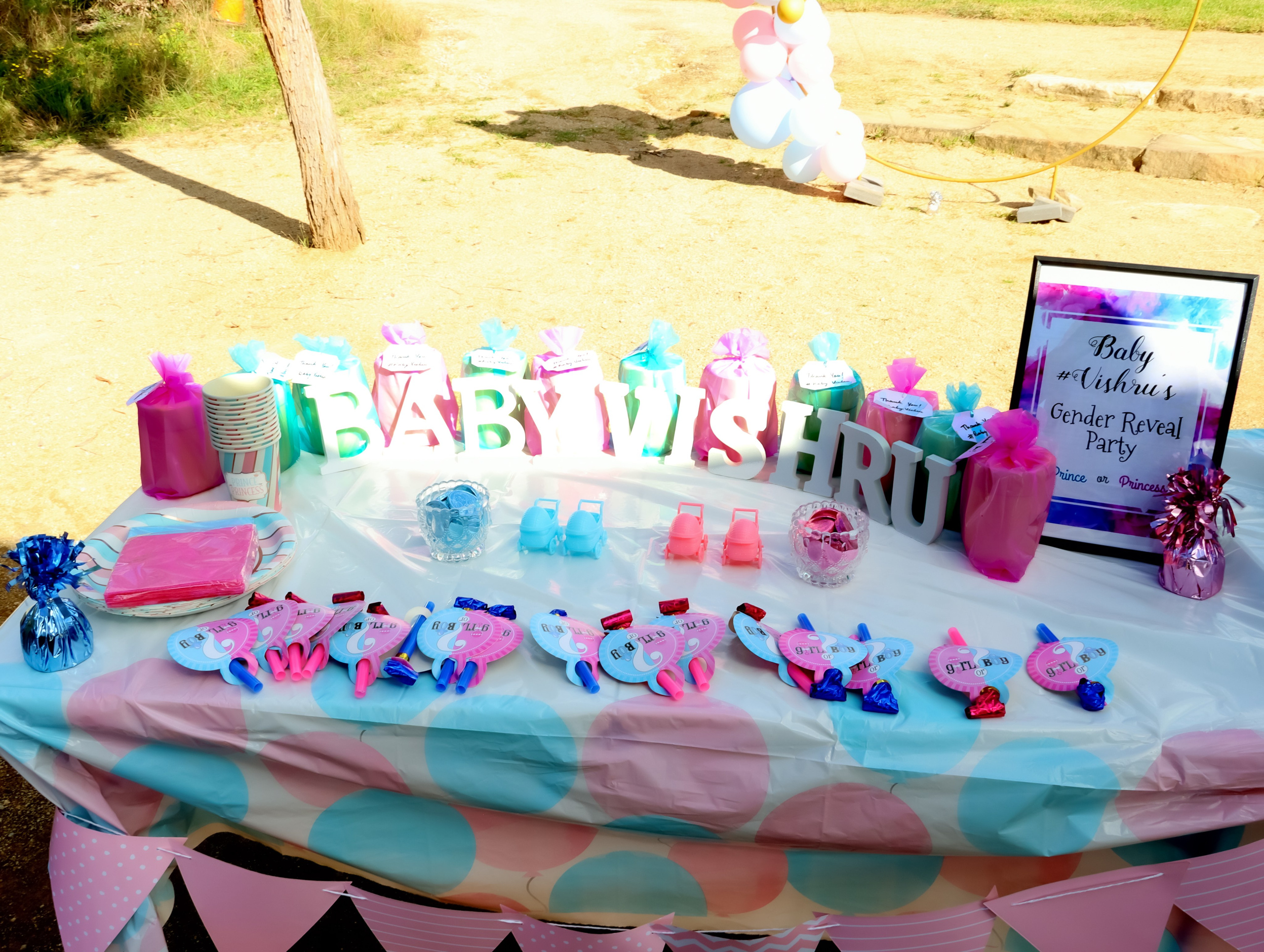 Gender and name Reveal. MHCreative is family-oriented photographer based in SYDNEY