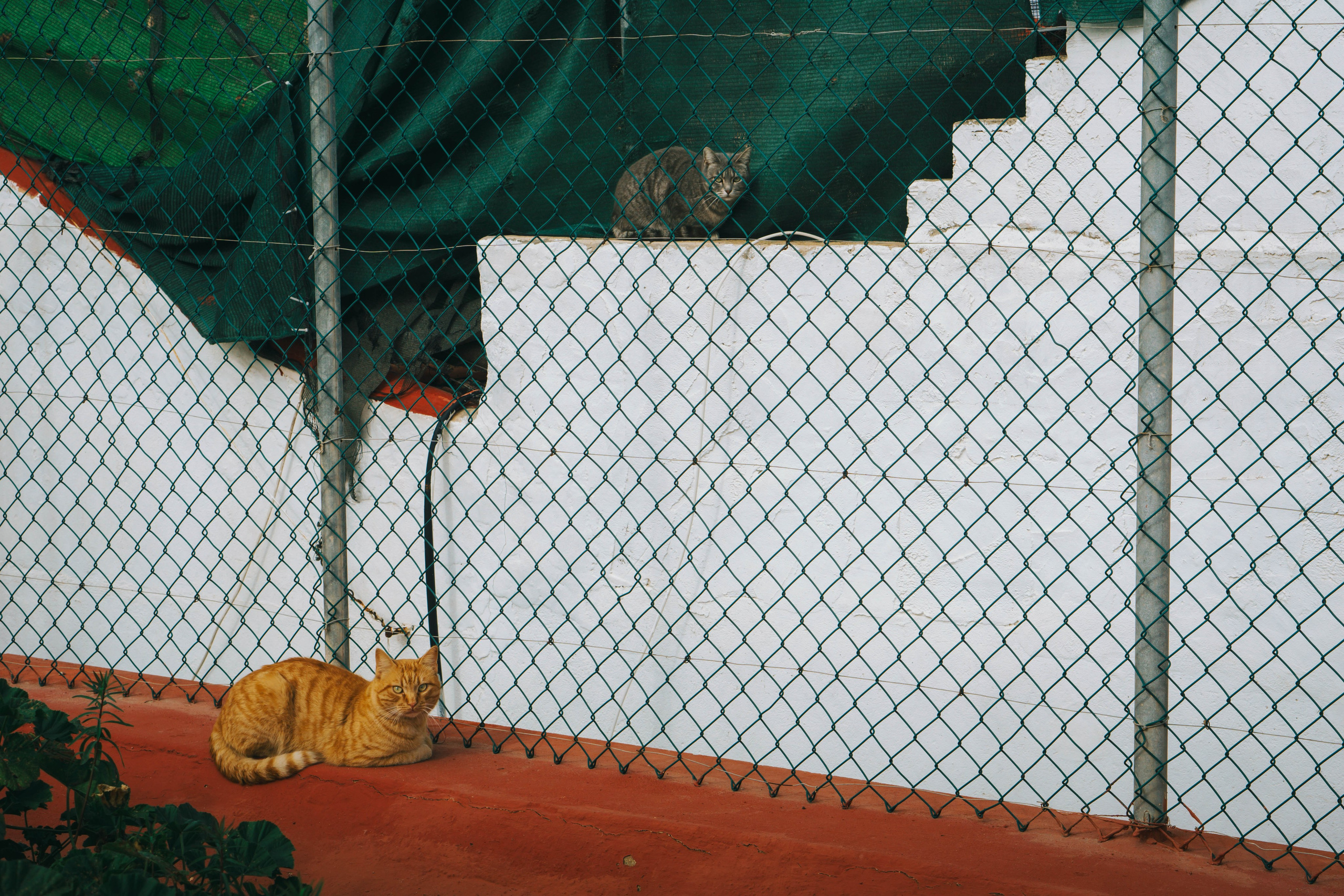 Rojales. Alba del Norte Studio