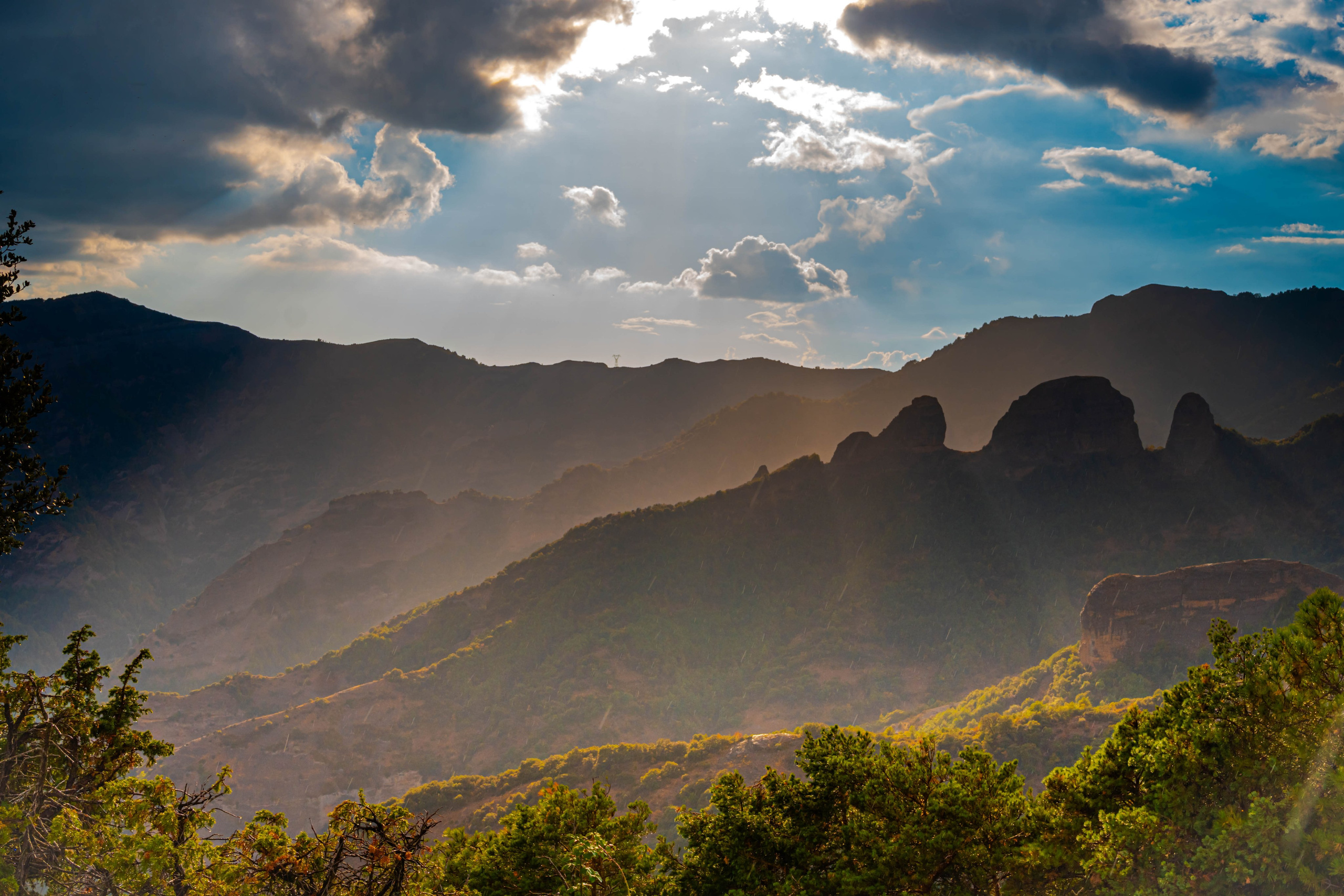 Lila. Alba del Norte Studio
