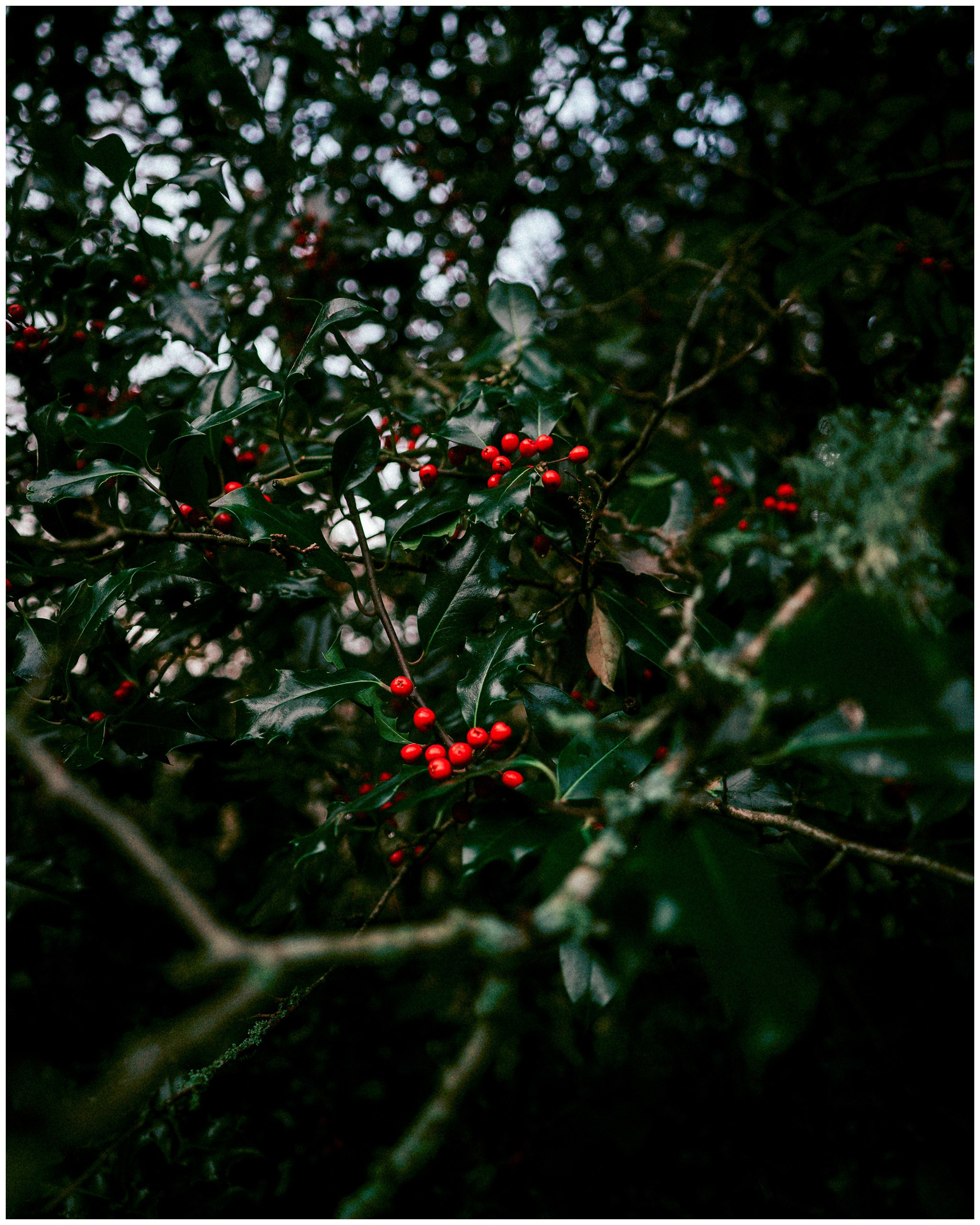 IRELAND. Inna Mendelson — Photographer