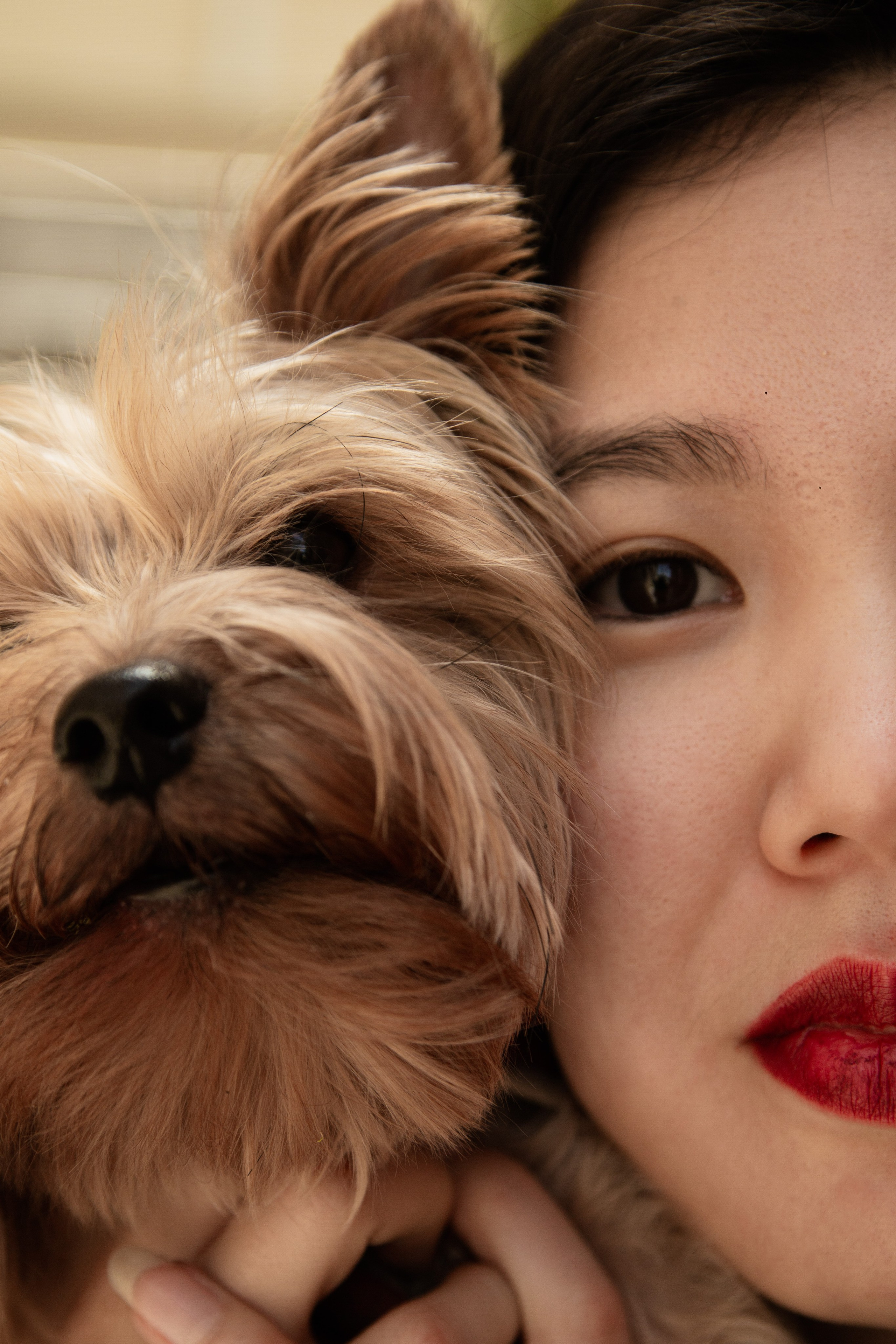 Portrait Session with Your Dog in Athens | Pet Photography