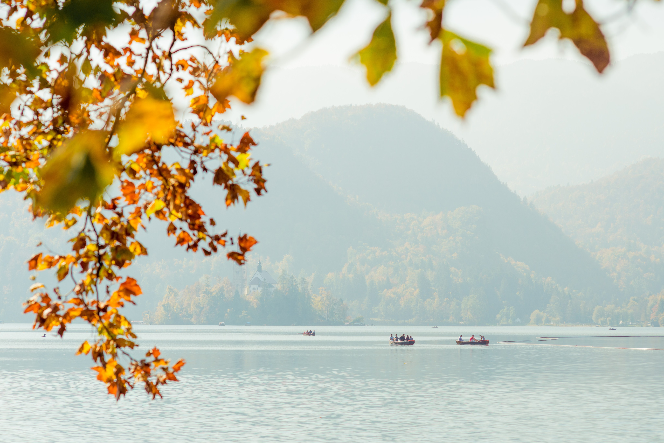 Portfolio. Wedding and Family Photographer in Slovenia