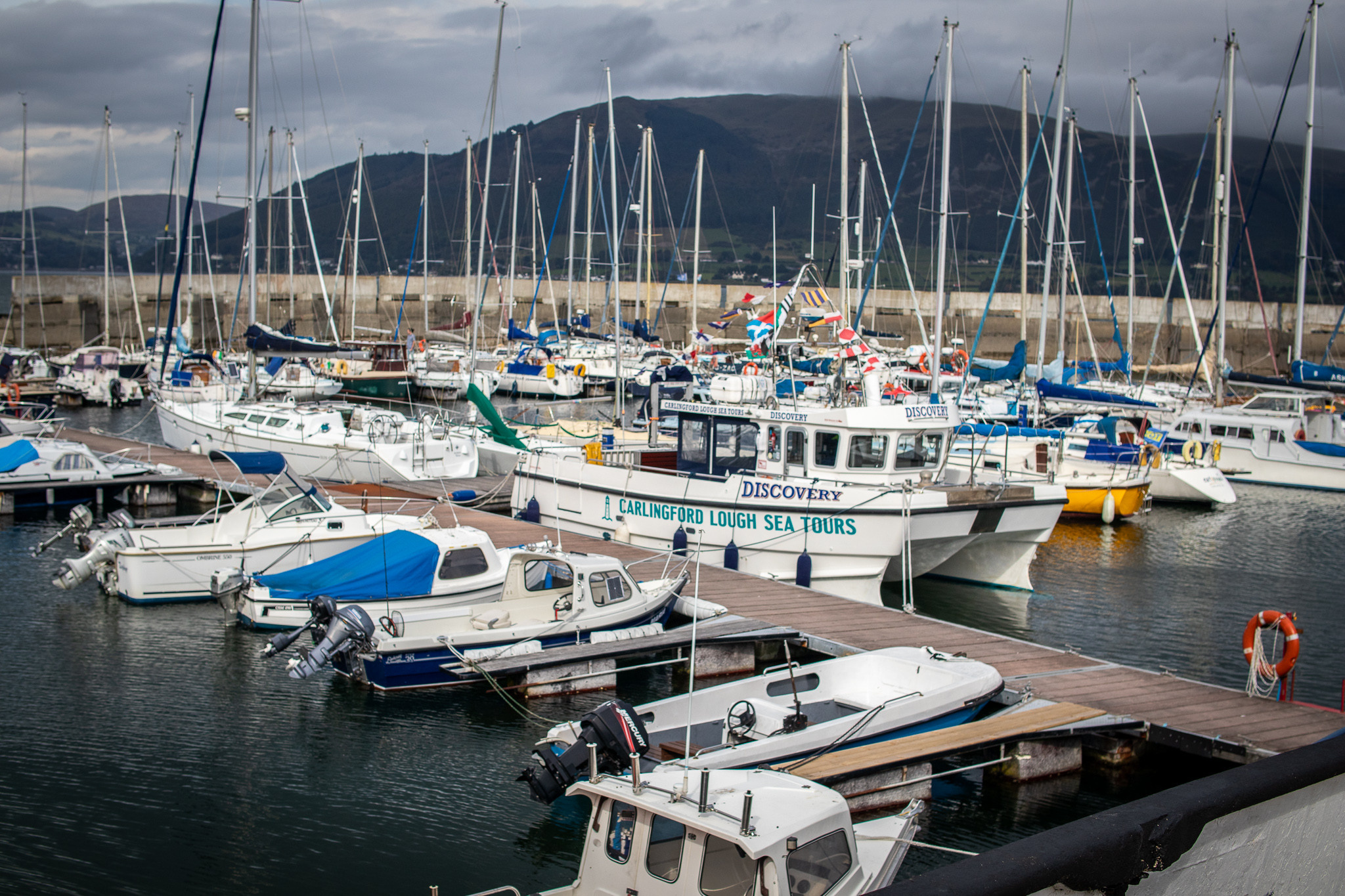 Mad Jessie. Create with Twila