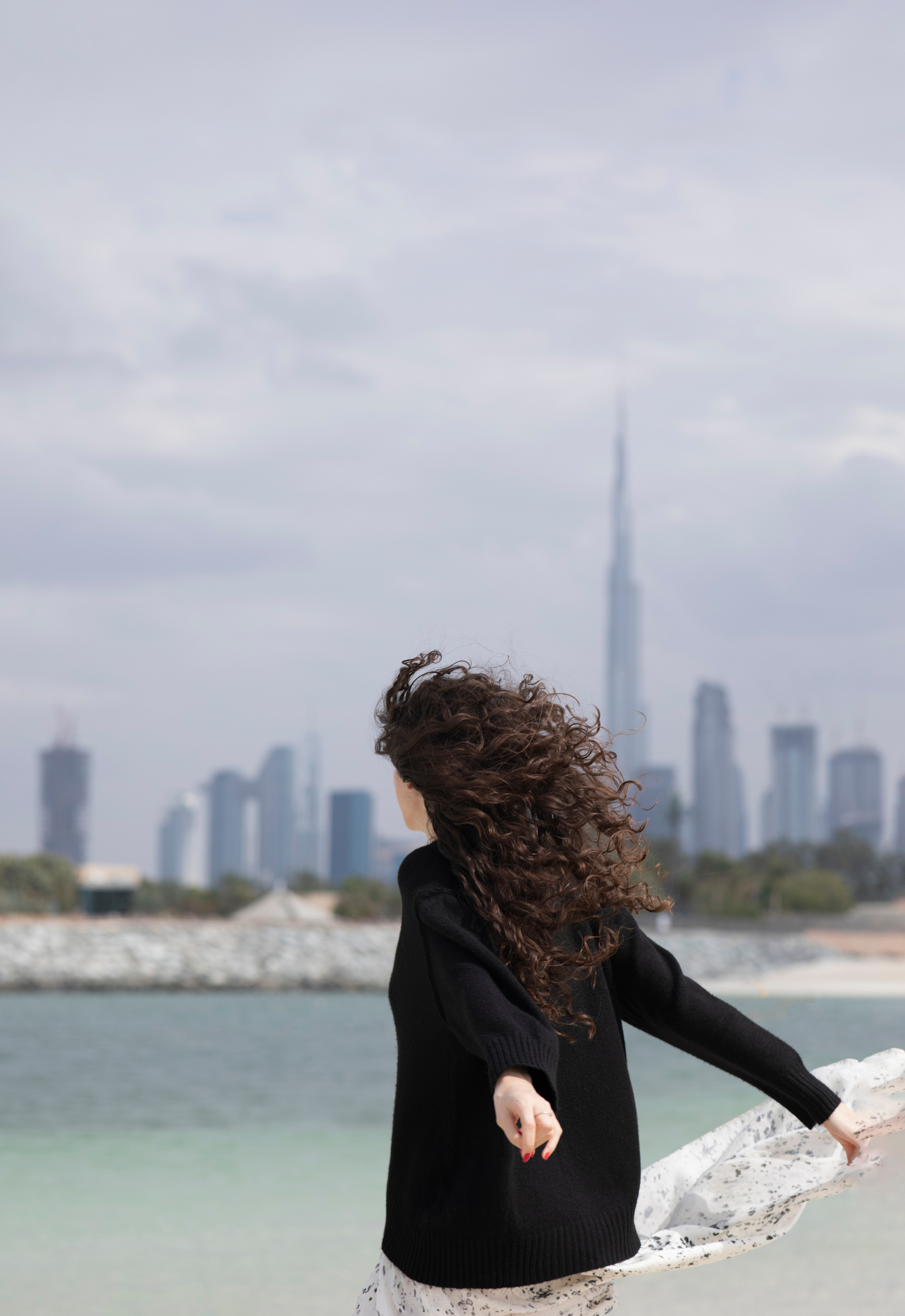 Dubai landscape. Main